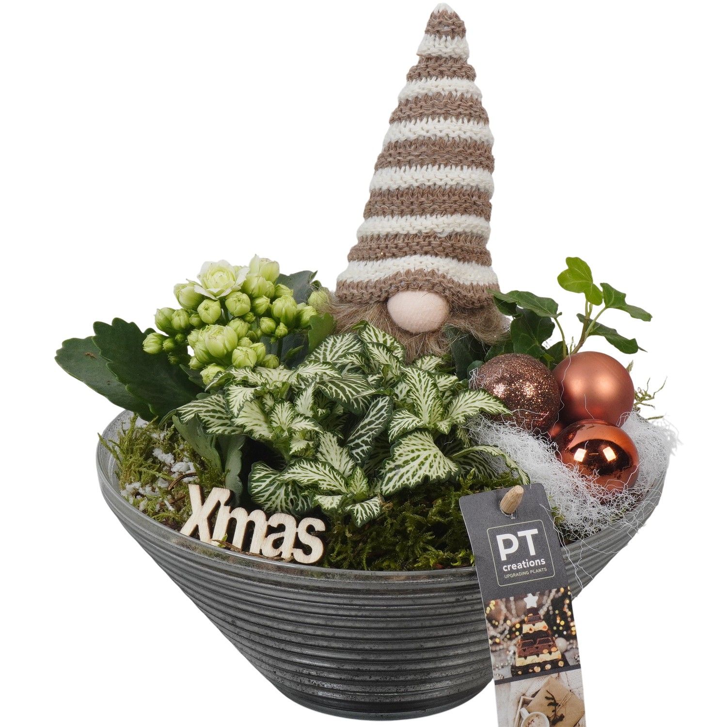 PTCHB9832 Arrangement Christmas Bronze in glas schaal, D 19 cm
