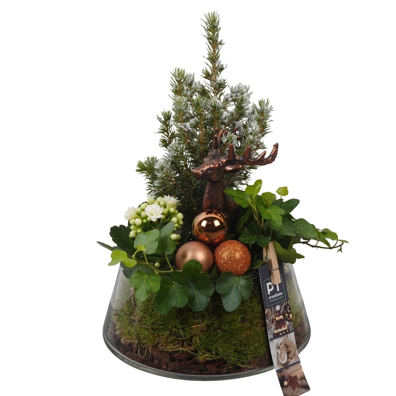 PTCHB9884 Arrangement Christmas Bronze in glazen pot, D 18 cm