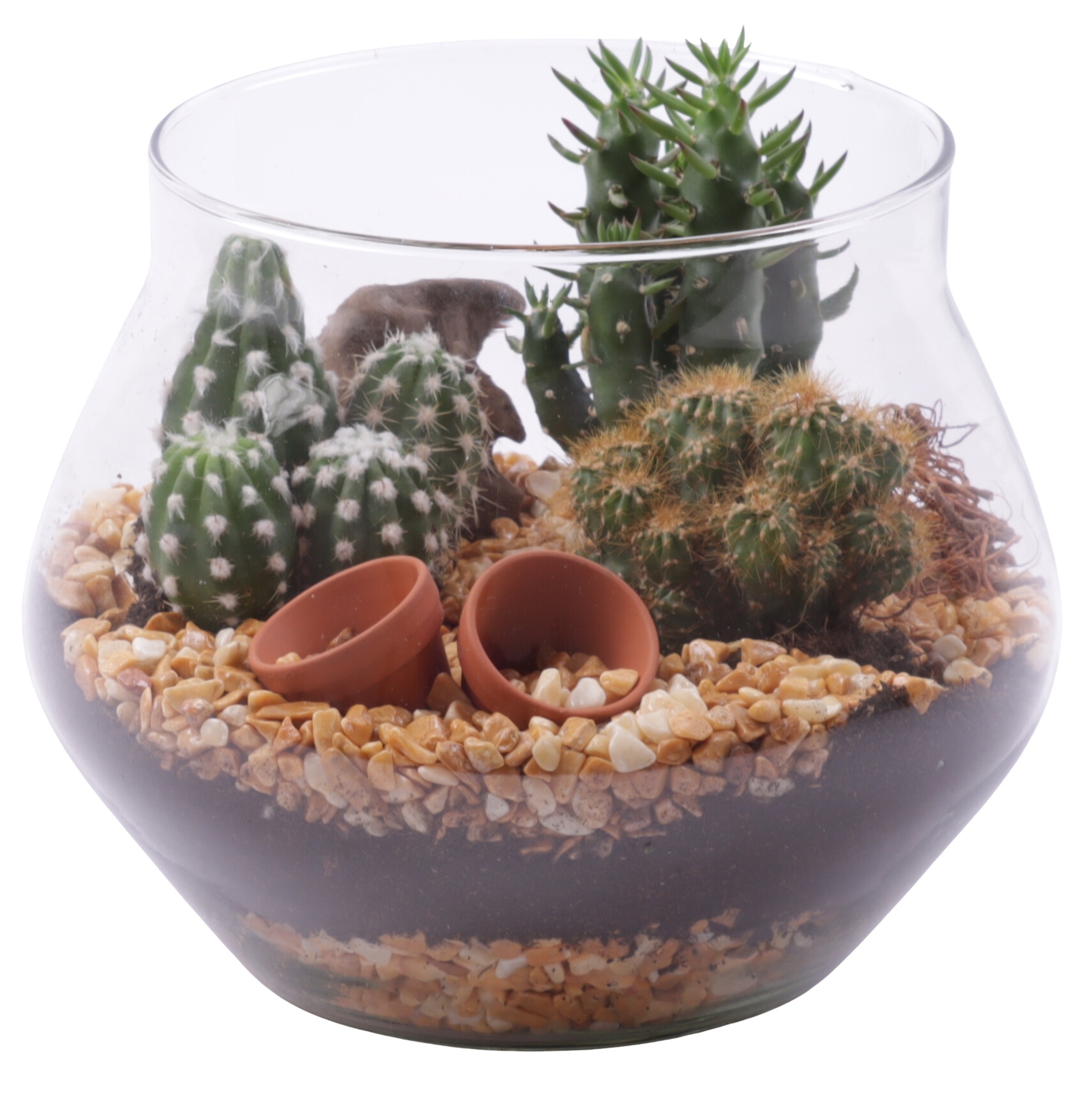 Yearround Arr. Cactus Glass UFO Vase Ø20cm 3PP, D 20