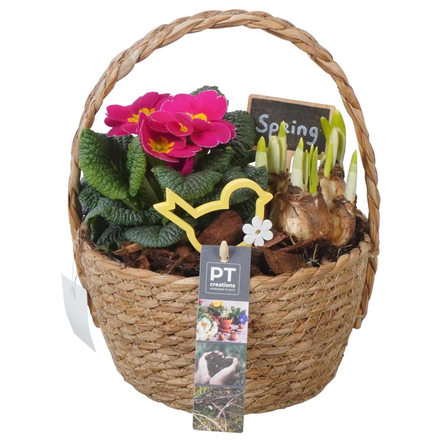 PTBM3805 Arrangement Flower Bulbs Mix in rieten mand, D 18
