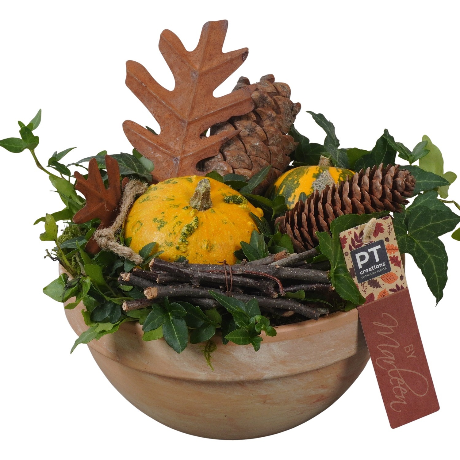 PTSF8231 Arrangement Kalebas hedera in terracotta schaal, D 19 cm