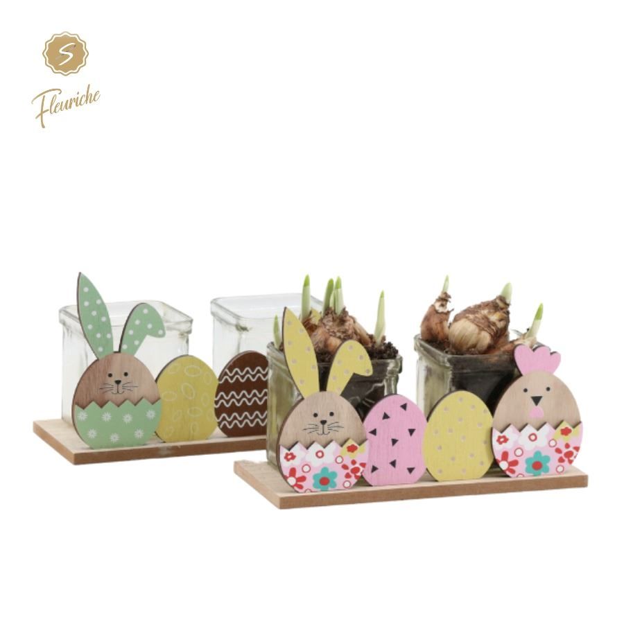 (2490) Narcissus Happy Easter, D 15