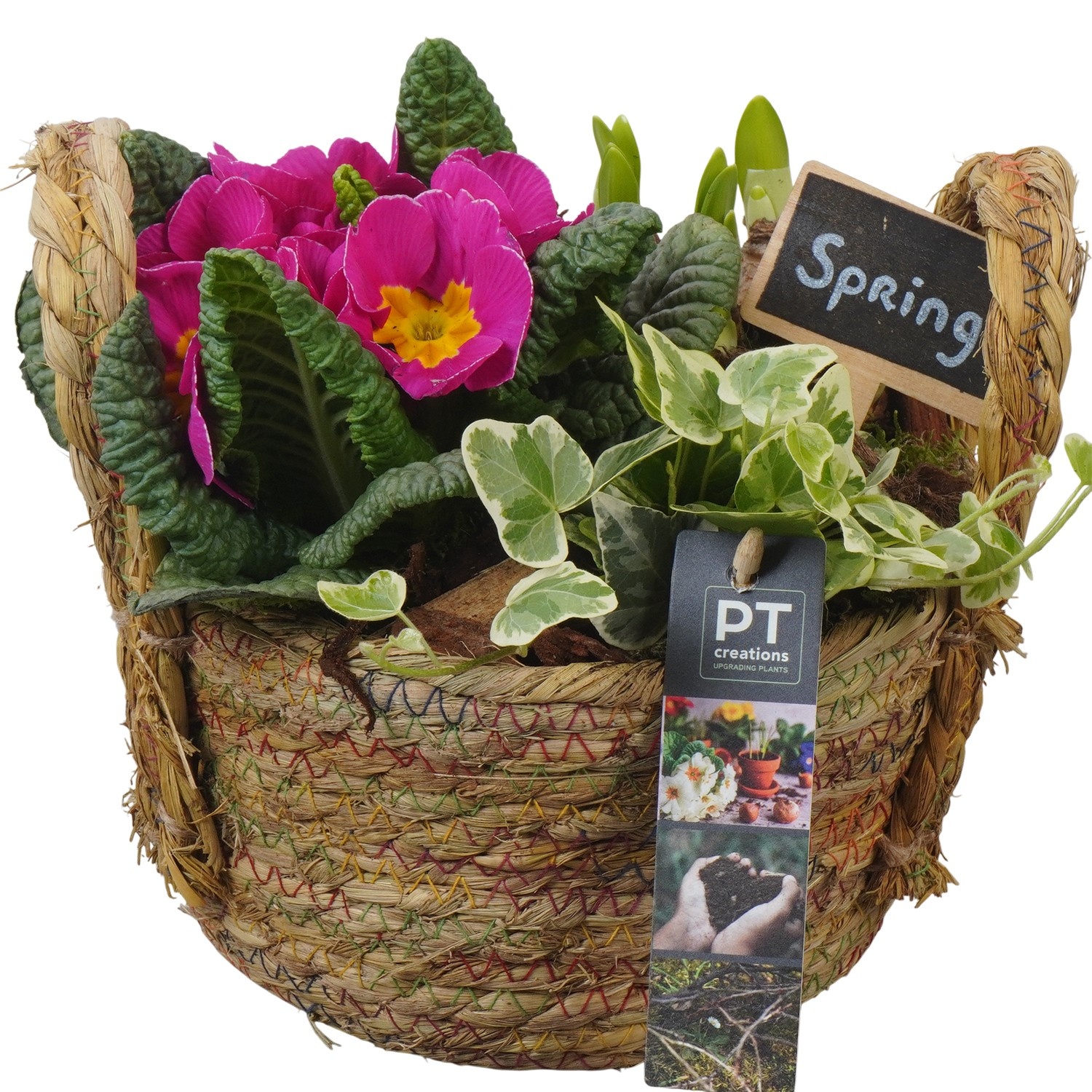 PTBM3809 Arrangement Flower Bulbs Mix in rieten mand, D 18