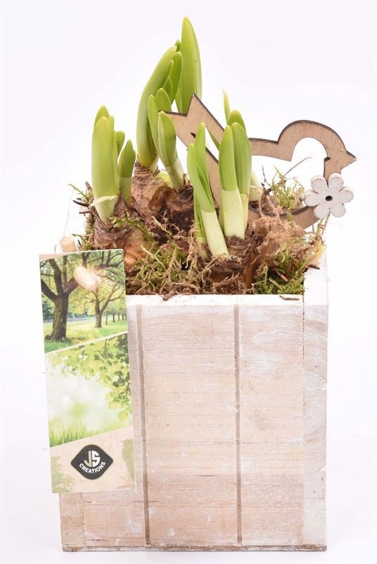 Hout box white wash 10x10cm, D 10