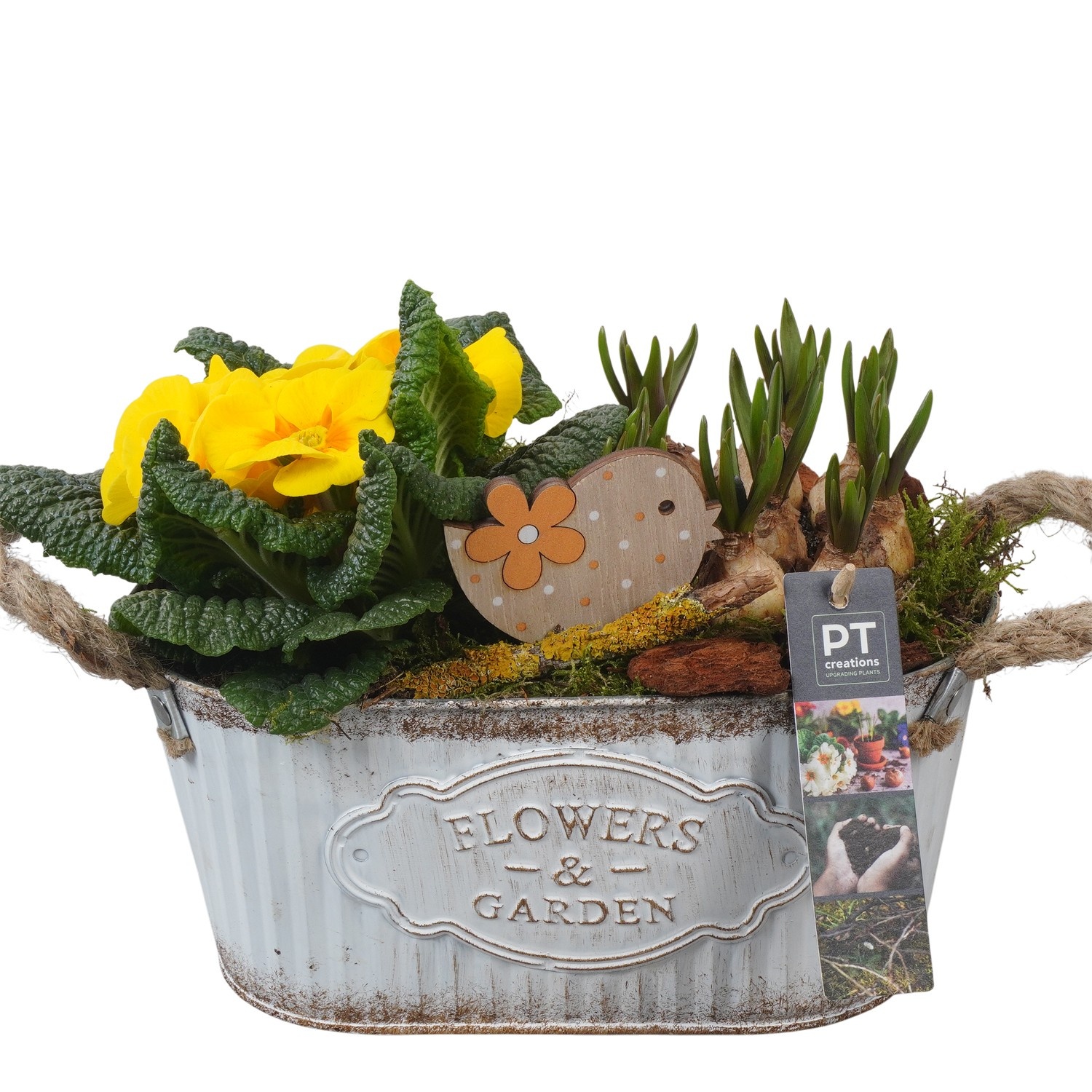 PTBM3769 Arrangement Flower Bulbs Mix in metalen pot, D 24