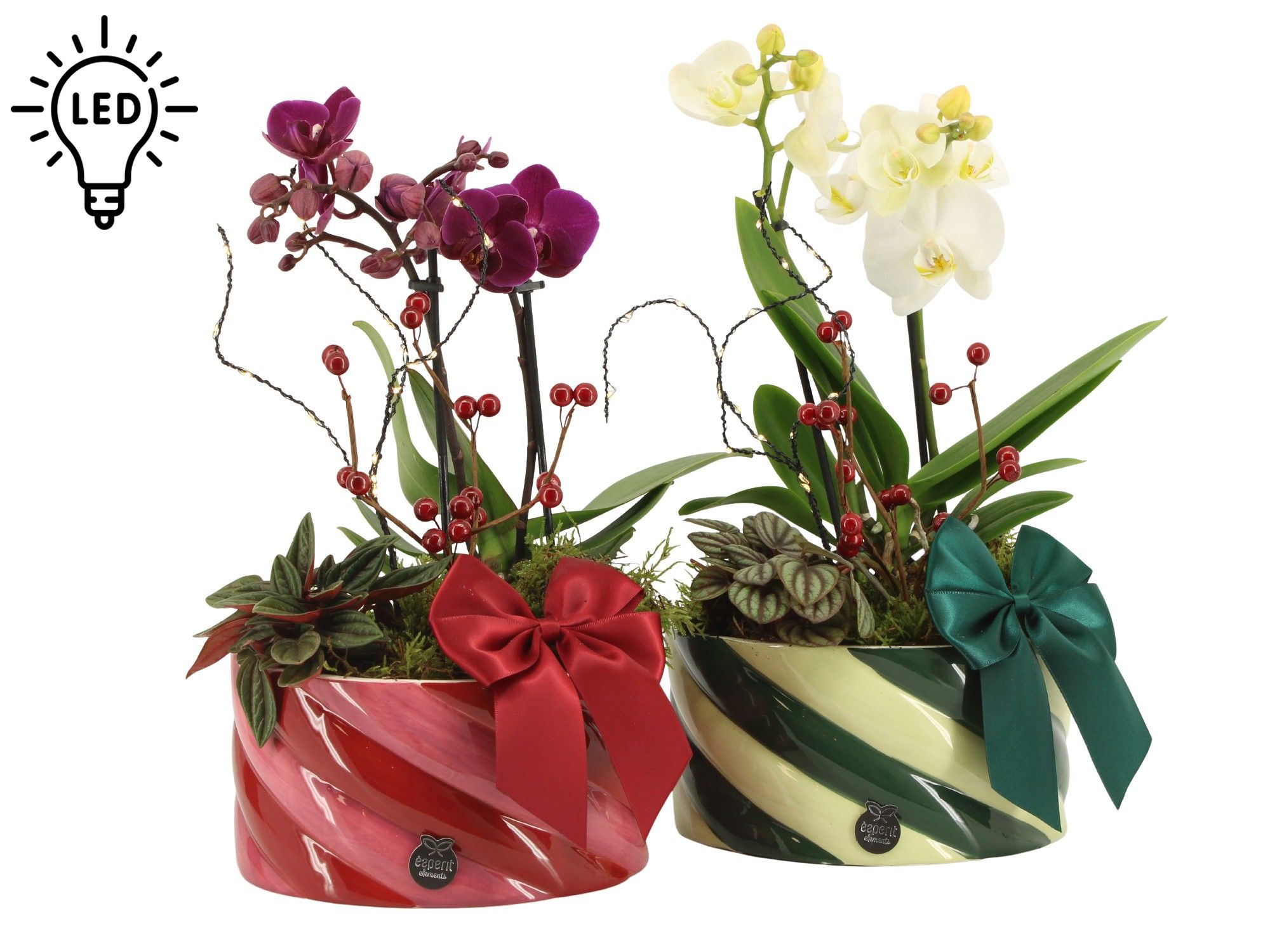 61787: X-mas arrangement met LED, D 17