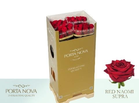 Роза од. Рэд Наоми 80, шт.