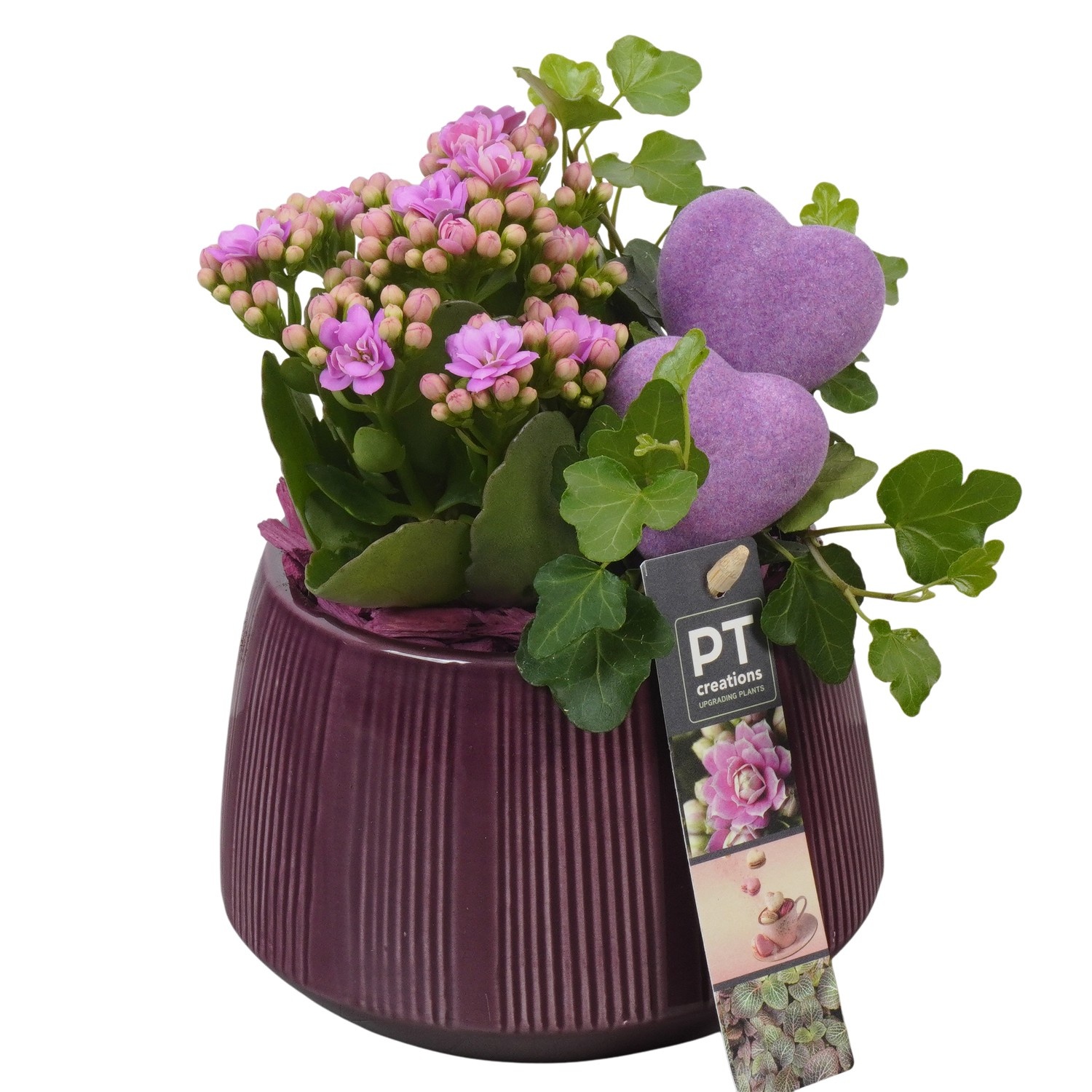 PTVMB2242 Arrangement Valentines-Mothersday in keramiek sierpot, D 14