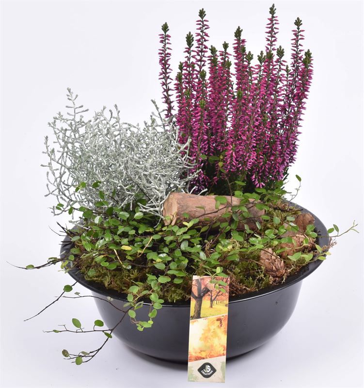 Zink schaal 23cm mat zwart, D 23 cm