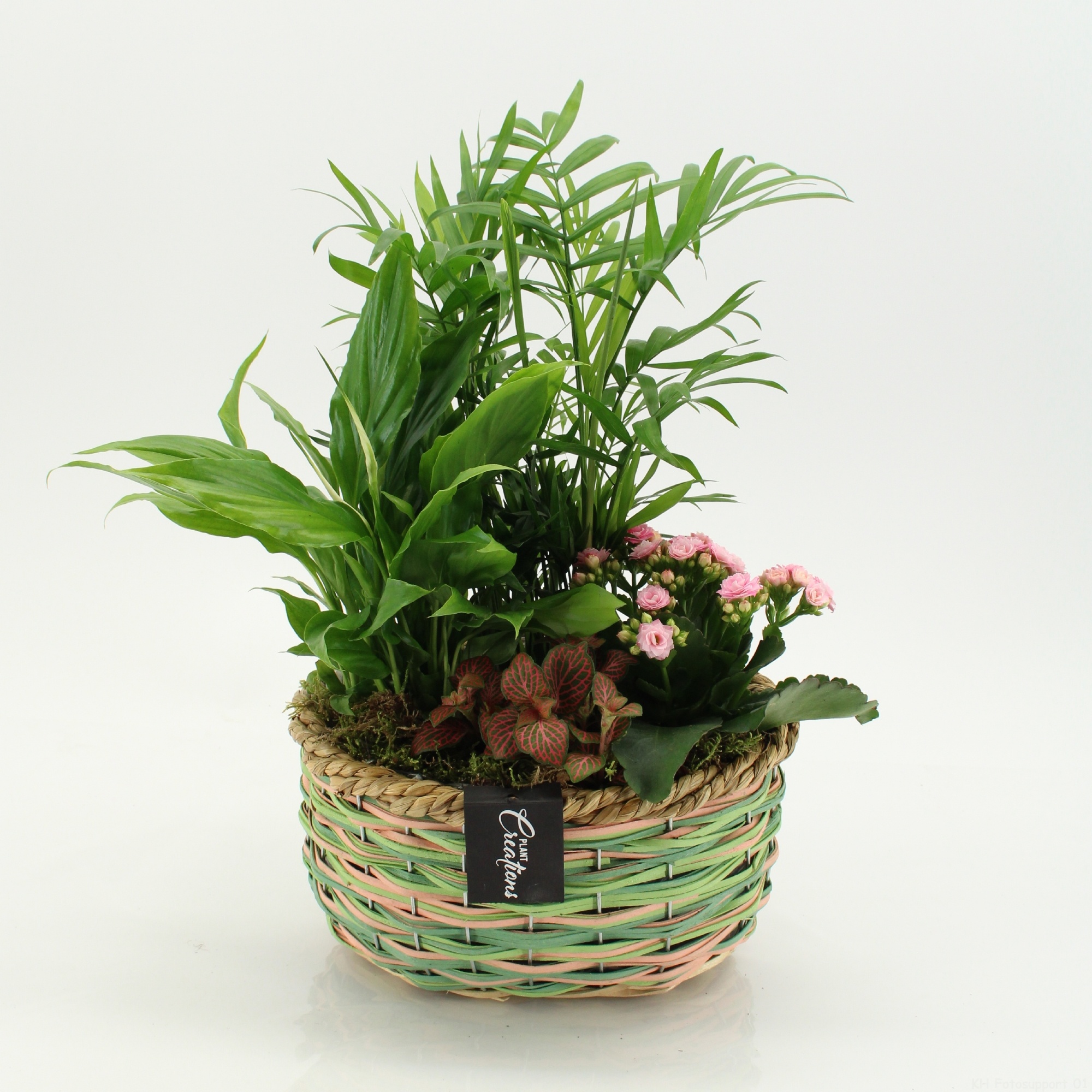 ESCR-2641RZ Essentials, D 21