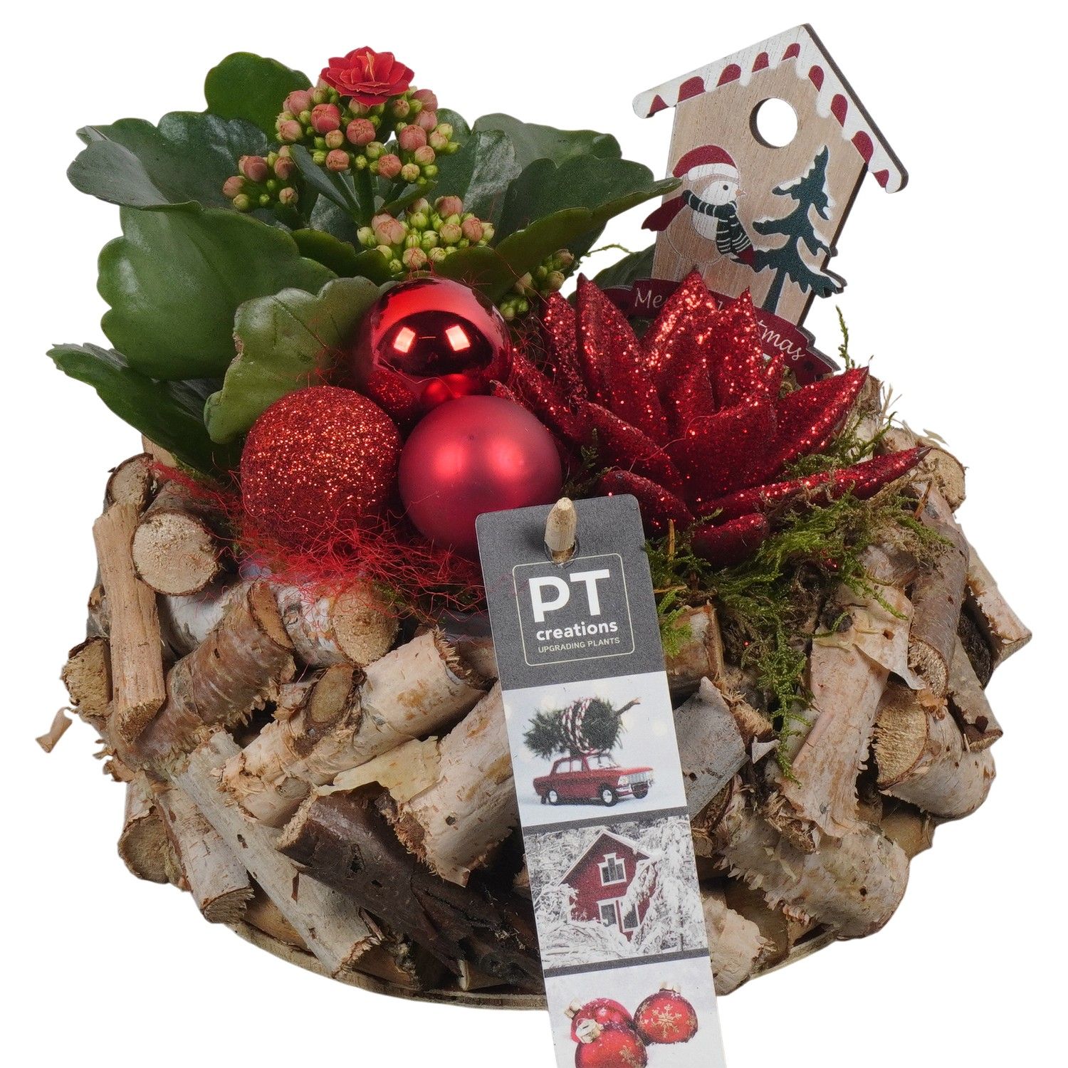 PTCHR7351 Arrangement Christmas Red in houten pot, D 20 cm