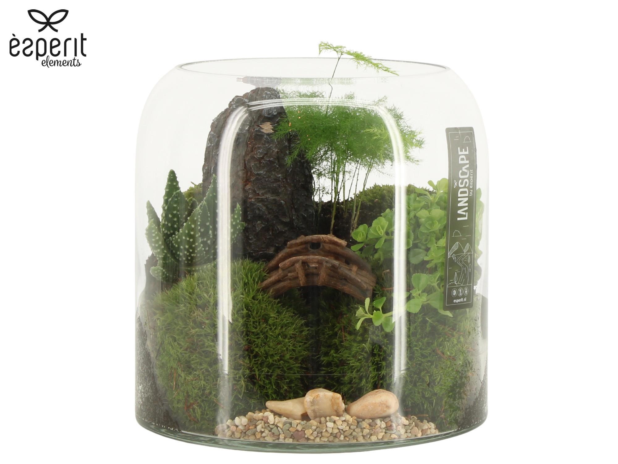 90630: Landscape arrangement, D 20