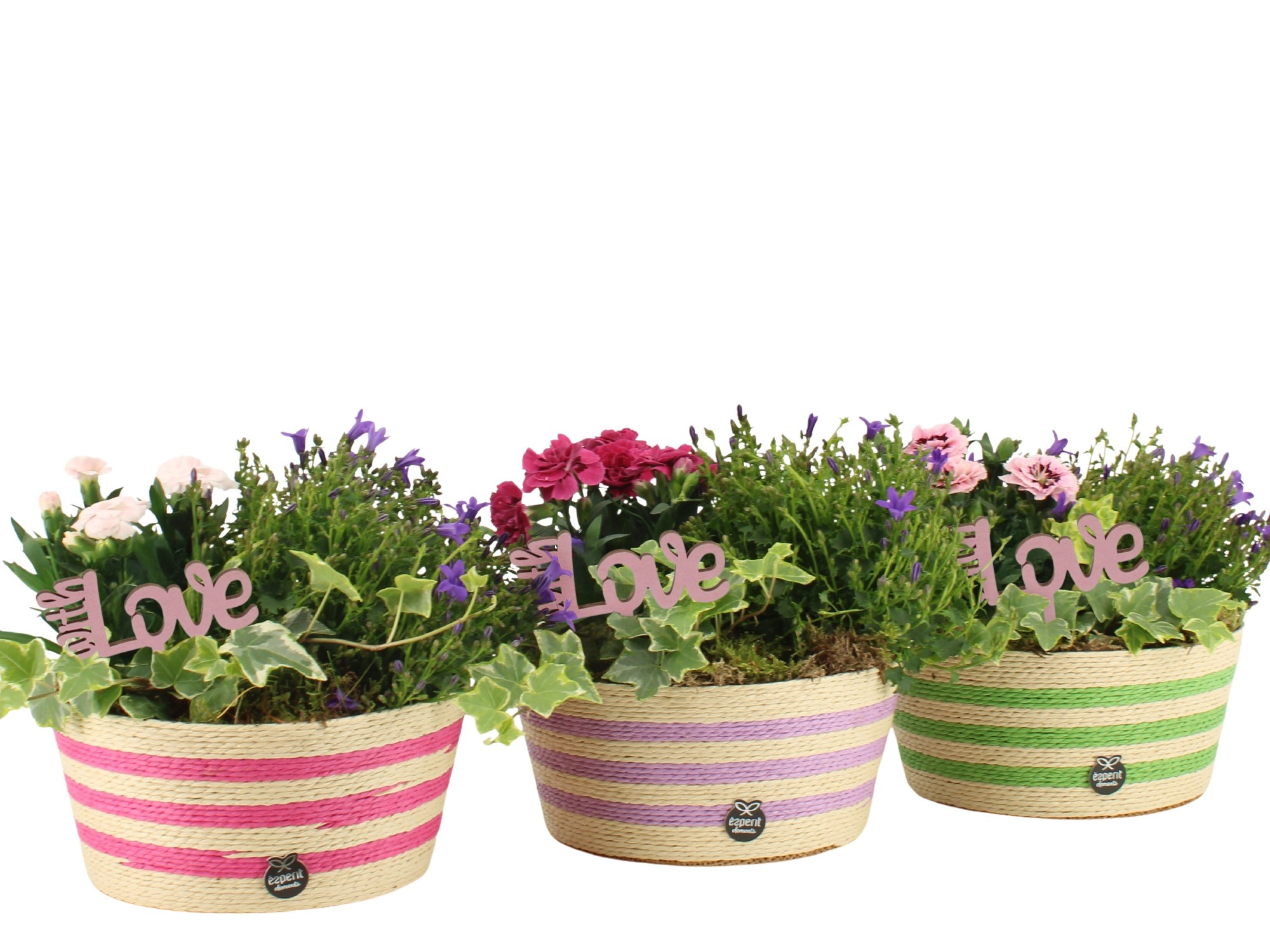 21999: Love outdoor arrangement, D 18