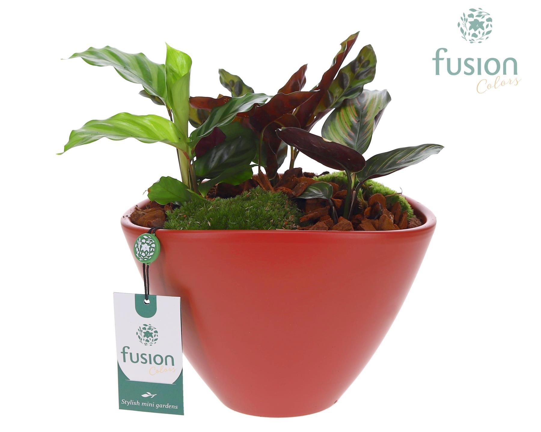 Pot keramiek ovaal Large met arrangement, D 23