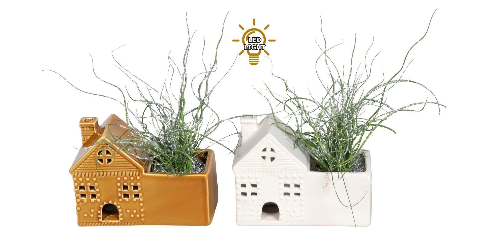 L 67465 With Juncus 'Spiralis' Glitter 6 cm, D 6