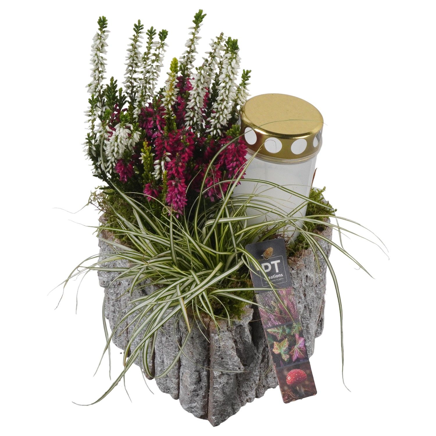 PTAH8661 Arrangement Allerheiligen in houten hart, D 16 cm PTAH8661 Arrangement Allerheiligen in houten hart, D 16 cm