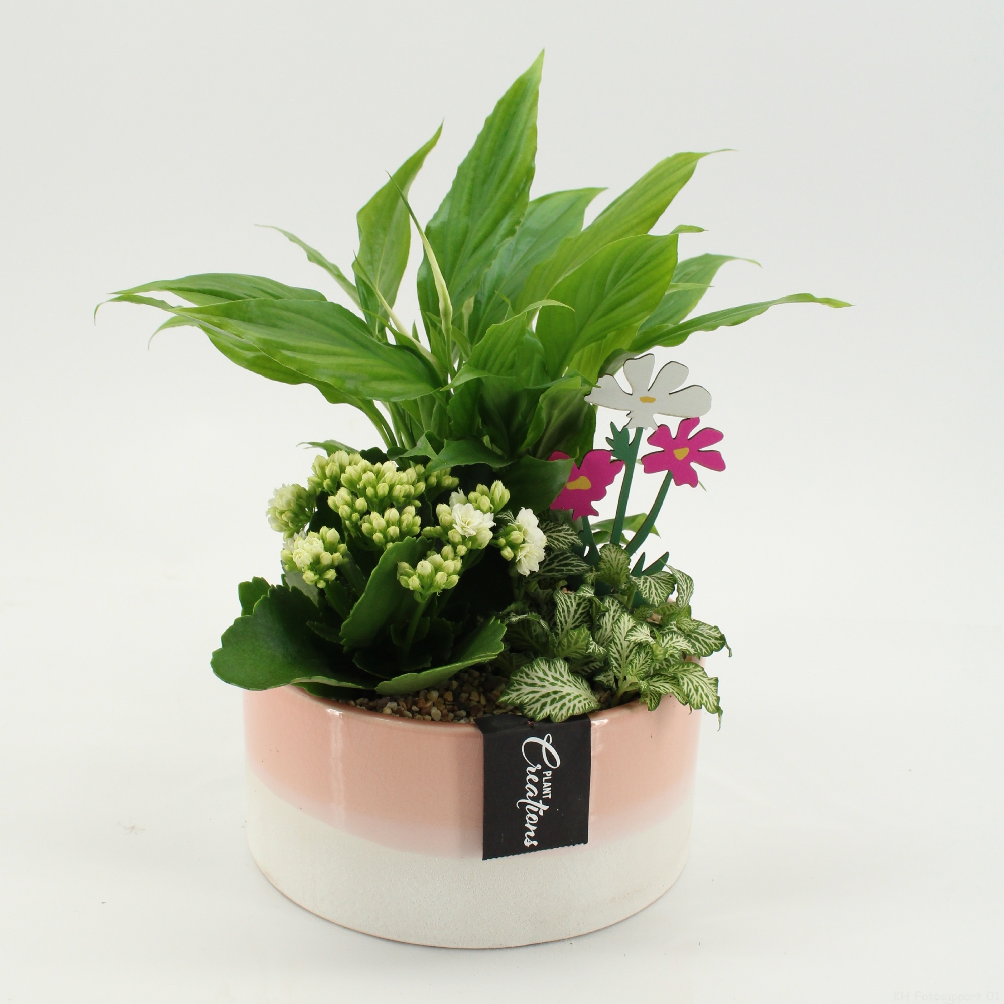 ESCR-2639W Essentials, D 18