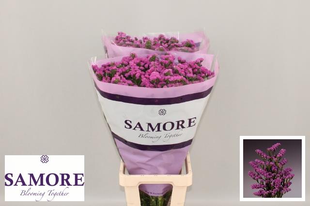 Статица Роза Сан Бедрс 80, шт.