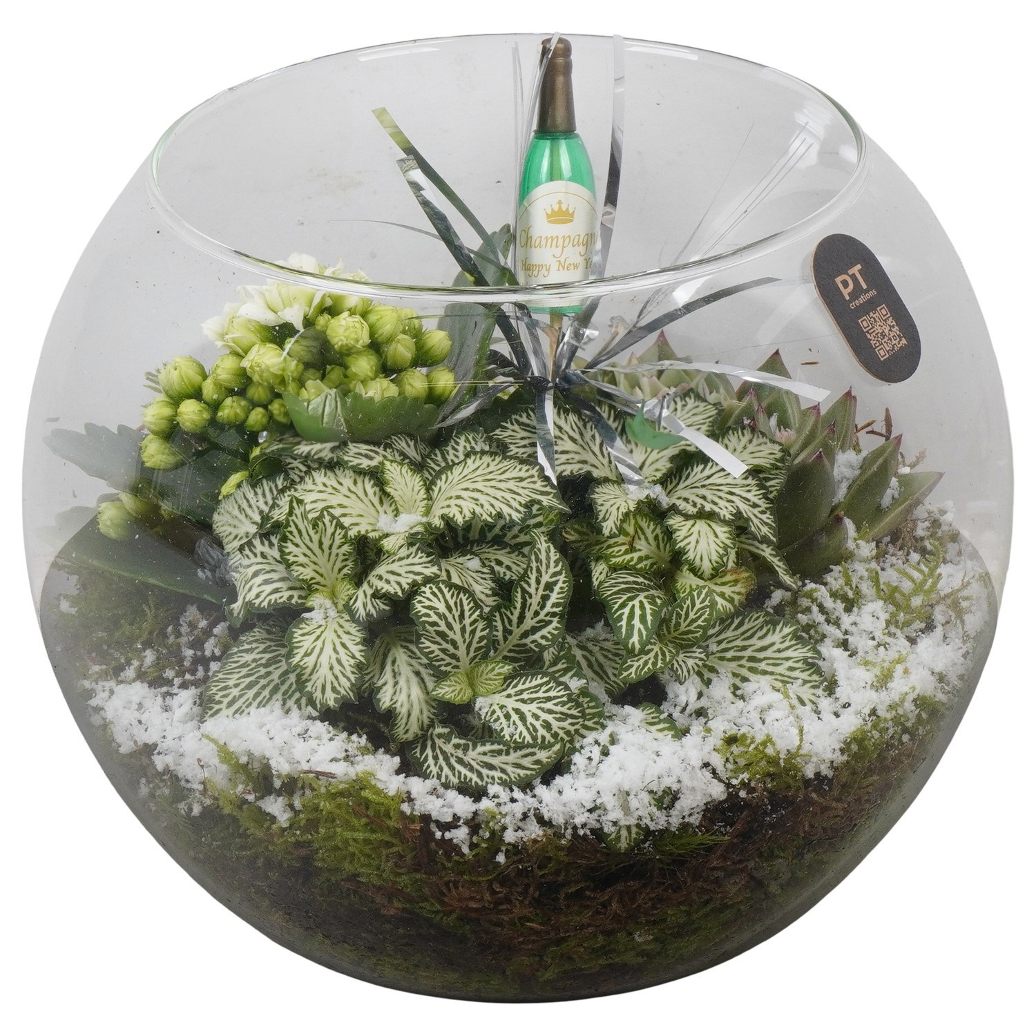 PTON6738 Arrangement New Year in glazen vissenkom, D 20