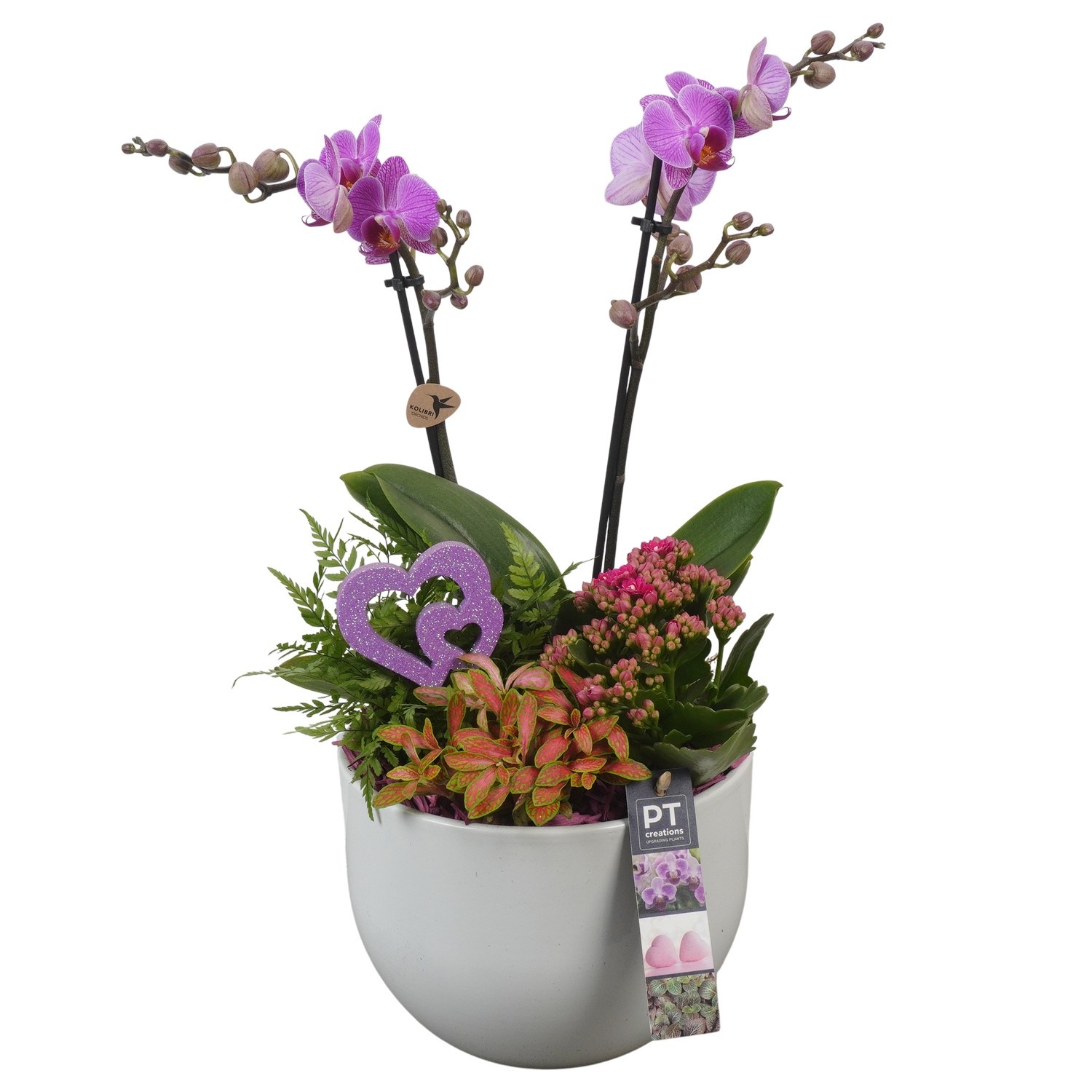 PTVMB2225 Arrangement Valentines-Mothersday in keramiek sierpot, D 19