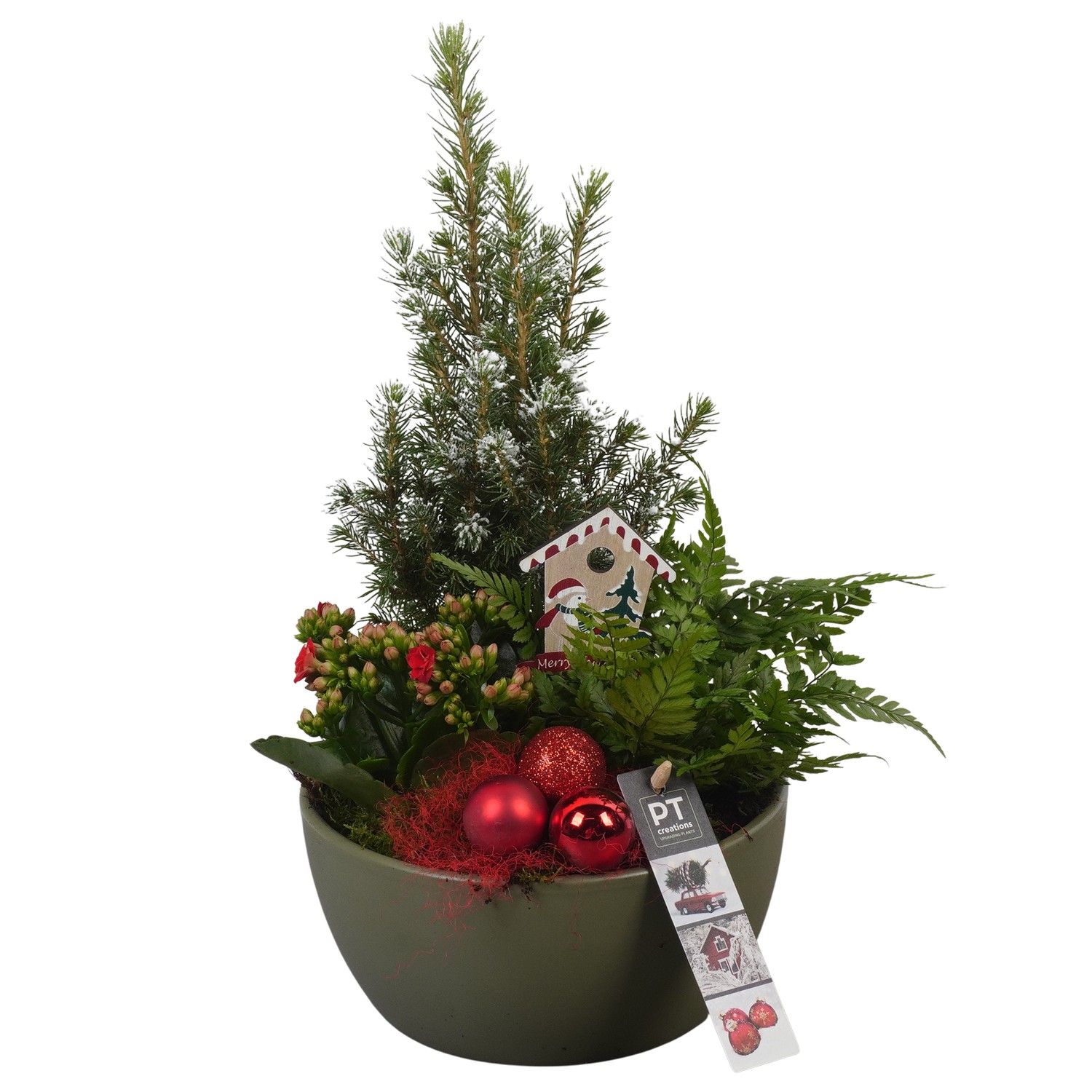PTCHR7257 Arrangement Christmas Red in keramiek schaal, D 18 cm