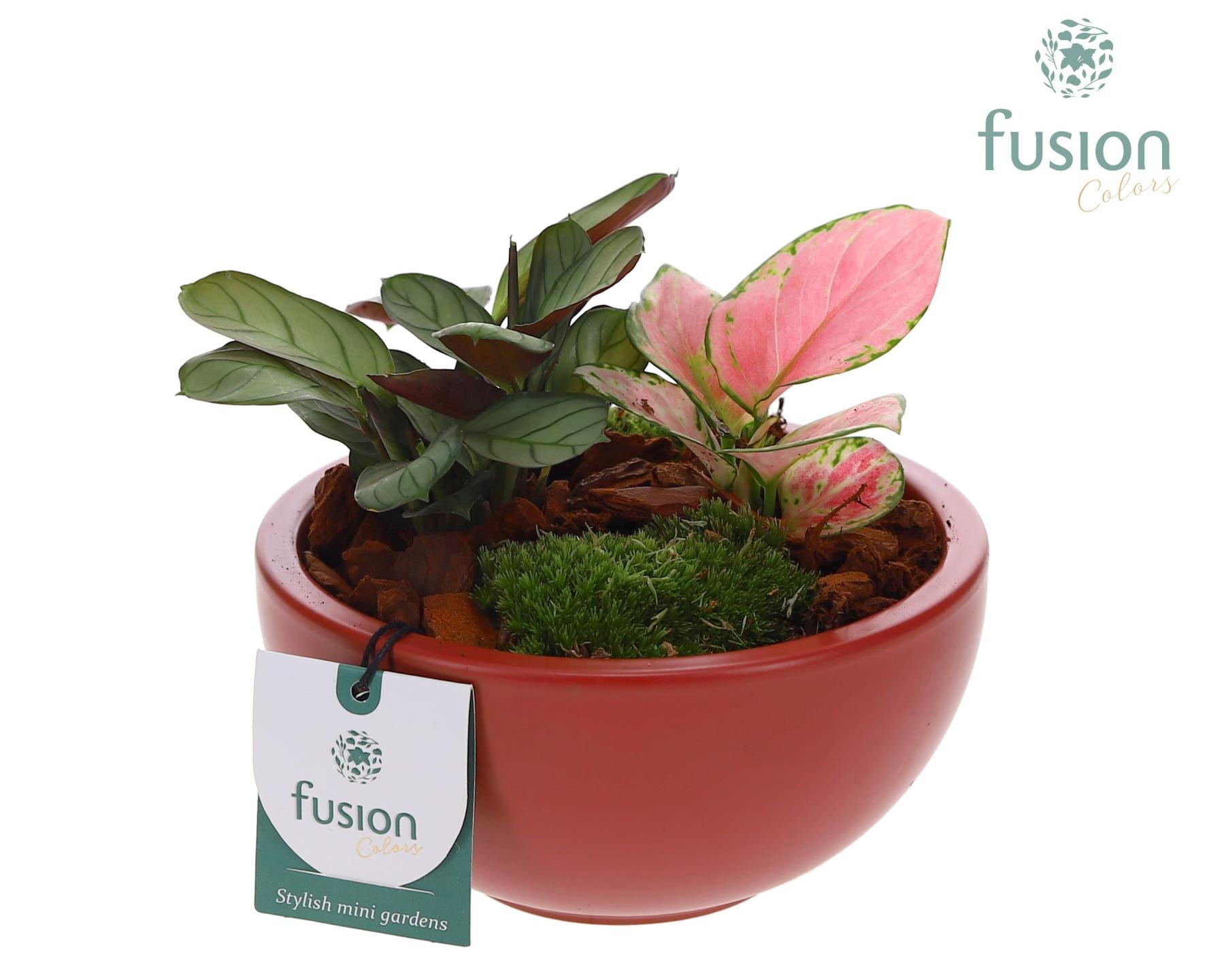 Schaal keramiek Moon Small marsala rood met groene planten, D 15