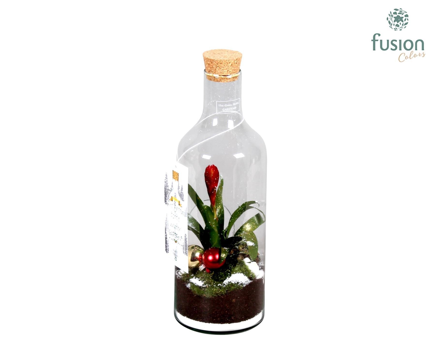 Green Bottle met Bromelia, D 15