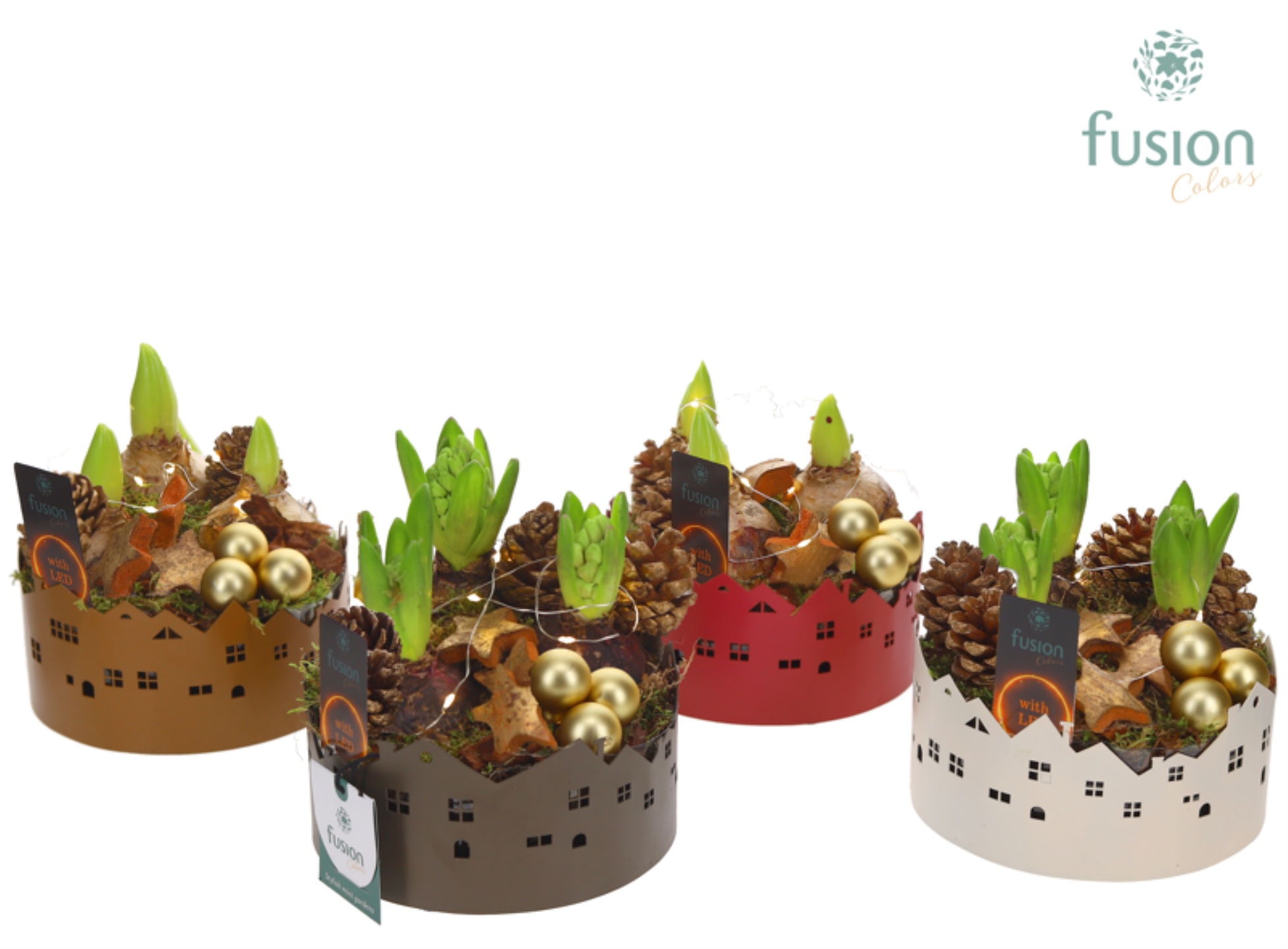 Zinken schaal Huisjes Small LED met Hyacinten, D 15 cm