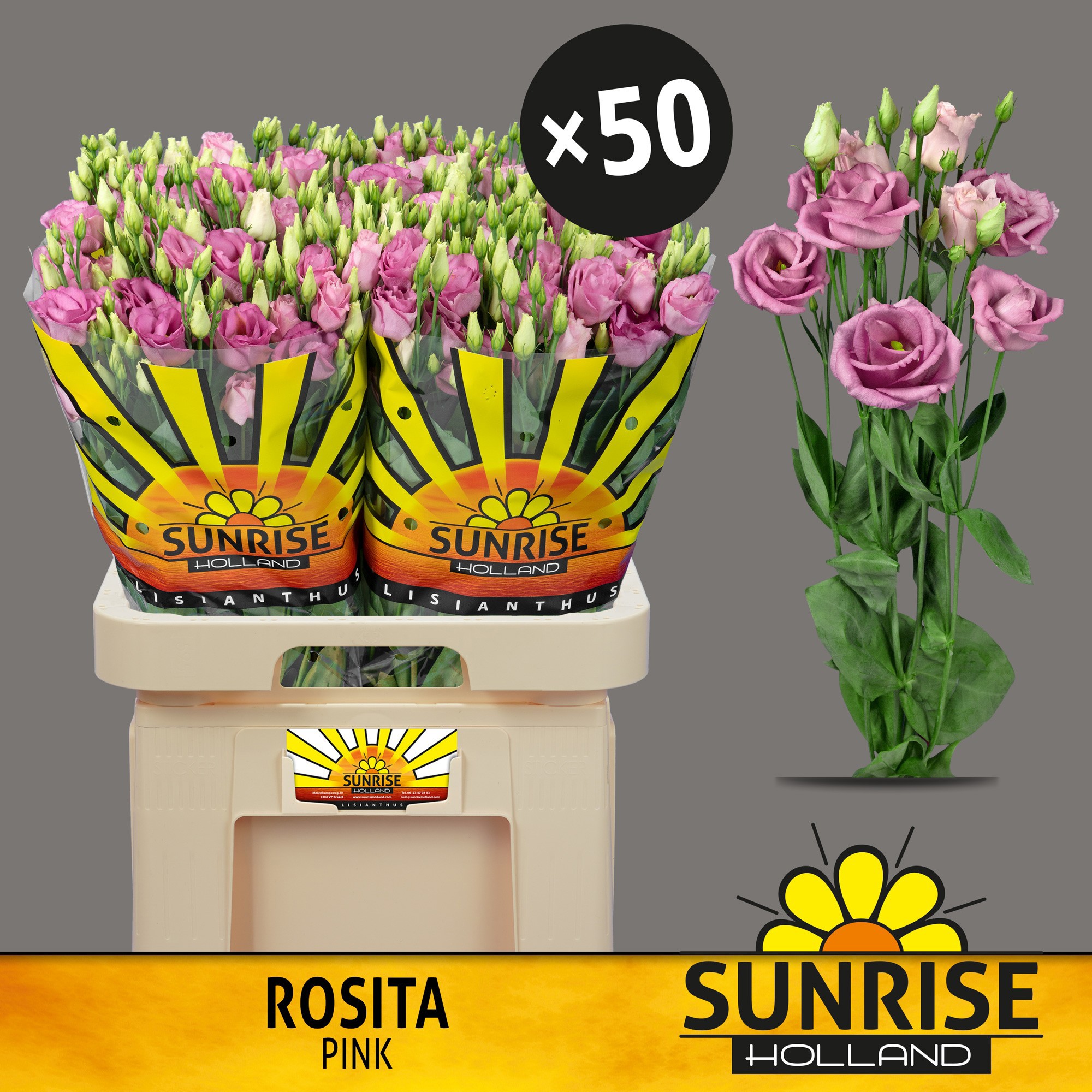 Эустома Розита Роуз пинк 70 (ярко-роз.), шт.