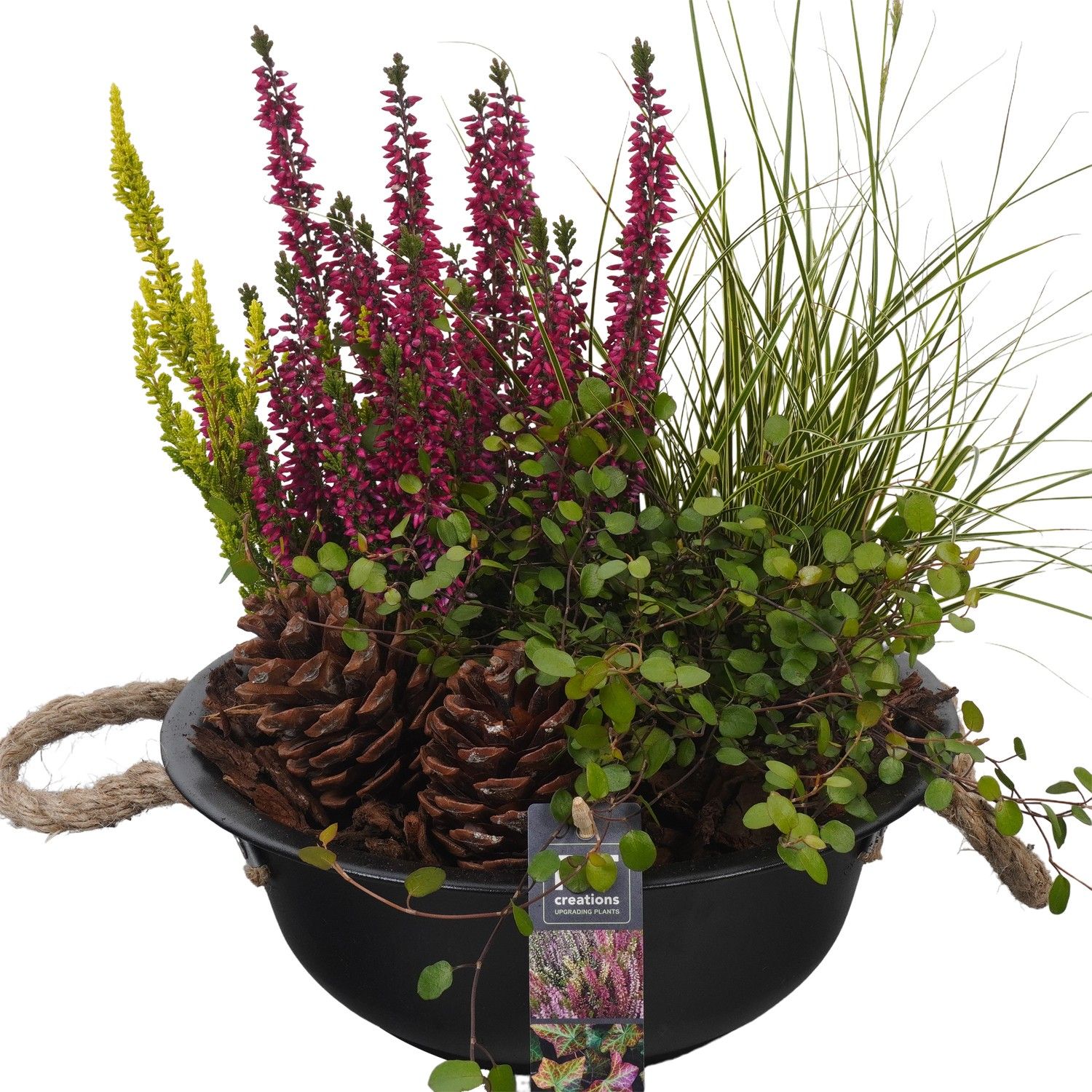 PTHO4032 Arrangement Herfst Outdoor in metalen schaal, D 24 cm