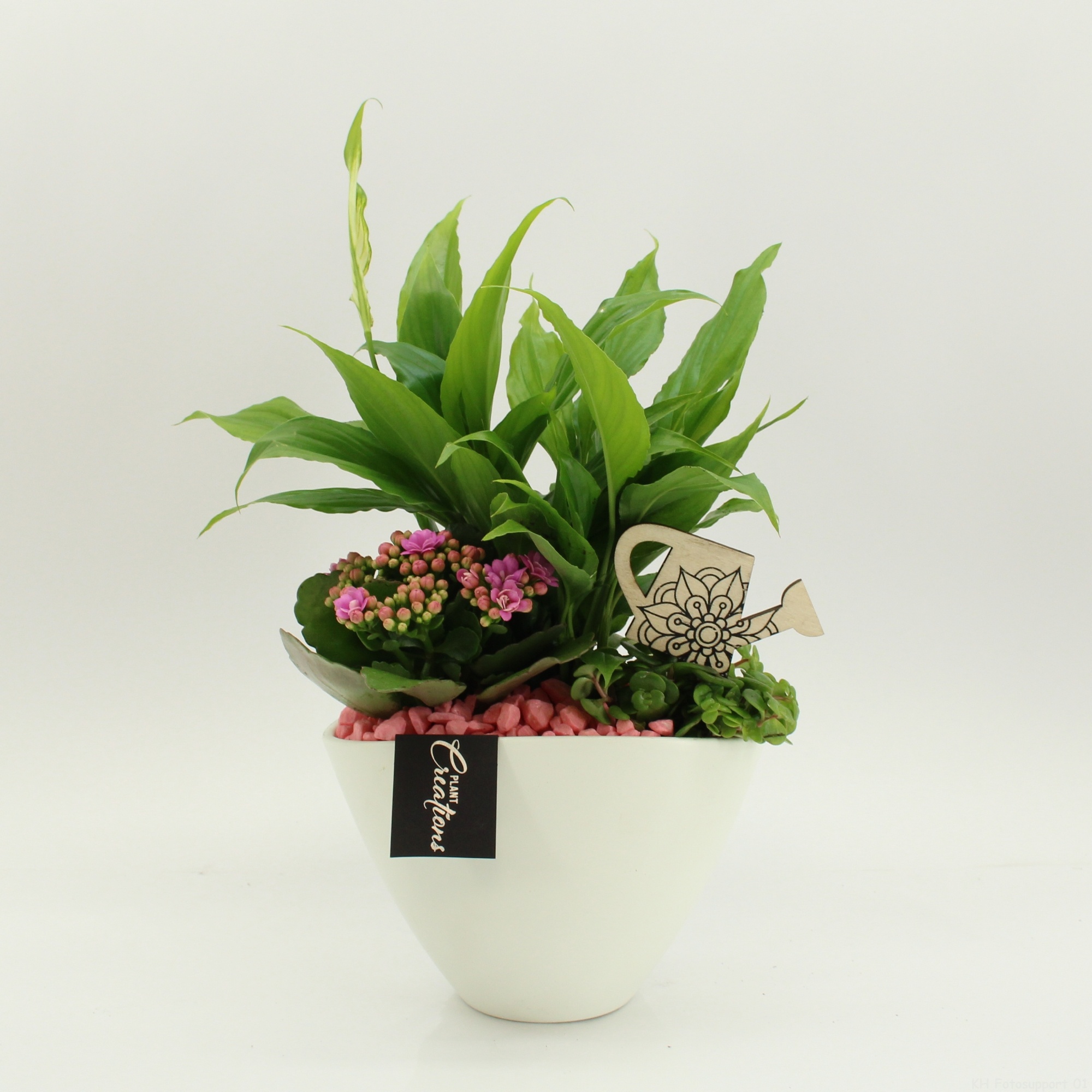 FDCR-2610RZ Basic Fundamentals, D 18