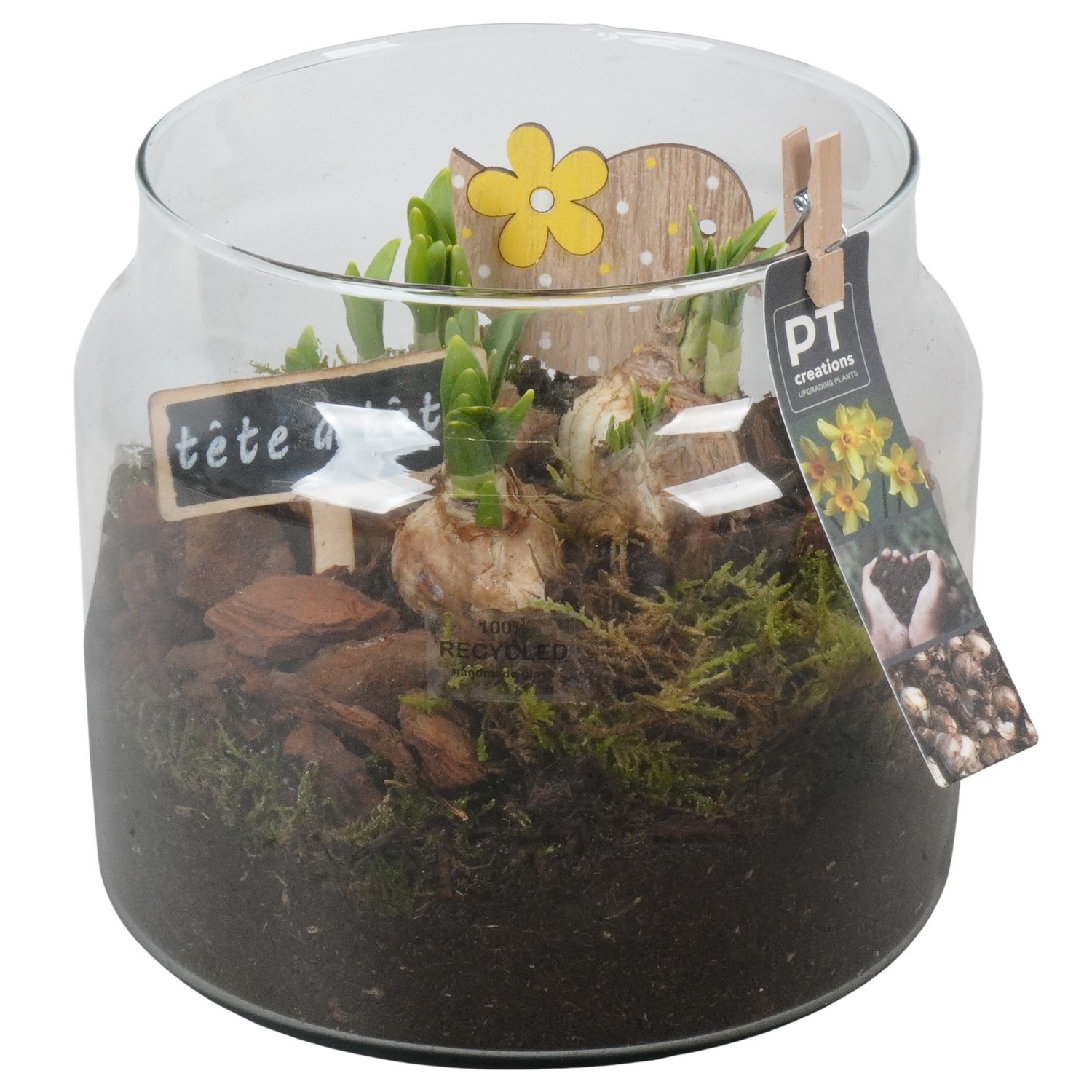 PTN8746 Arrangement Narcissus in glazen vaas, D 19