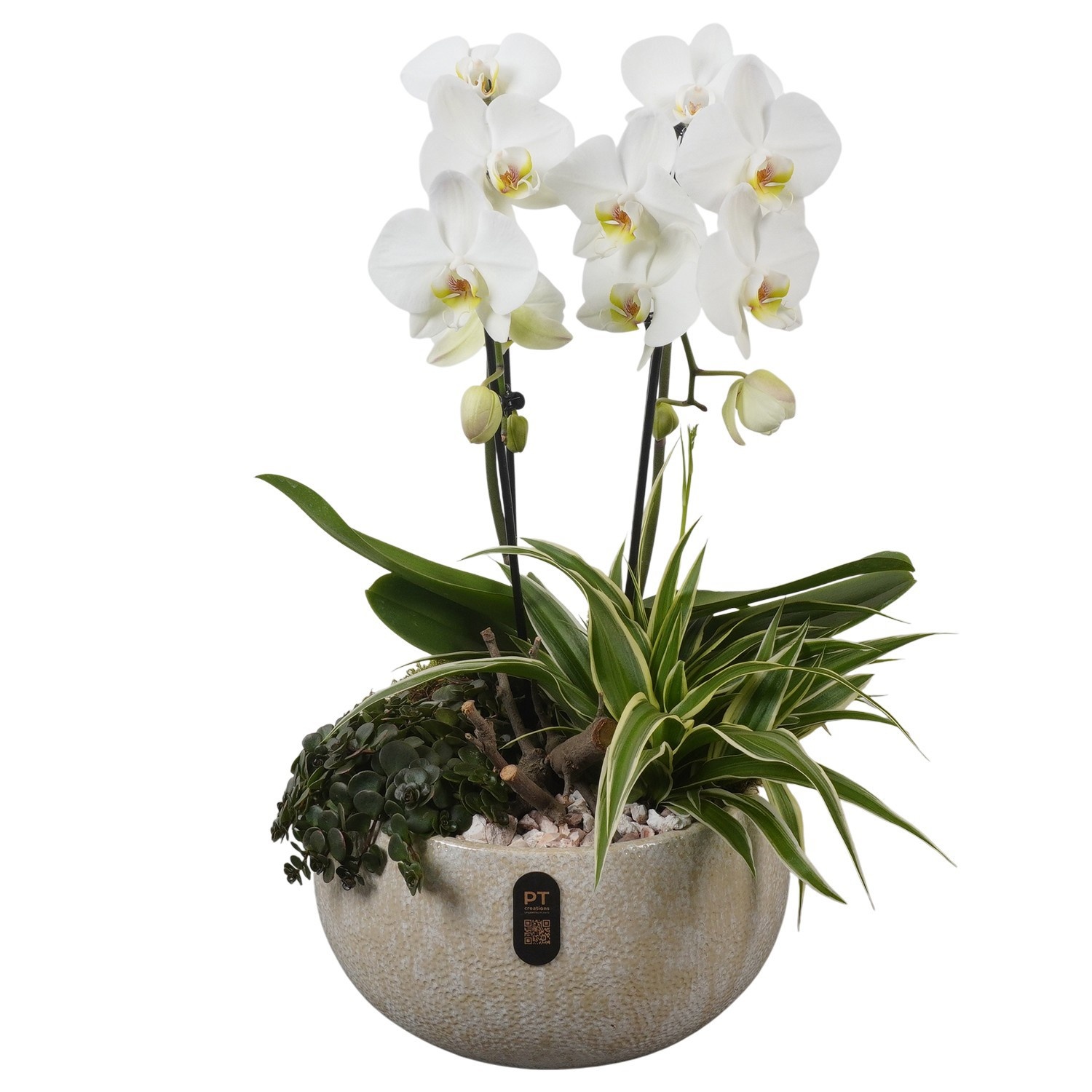 PTIB5339 Arrangement Indoor in keramiek schaal, D 26