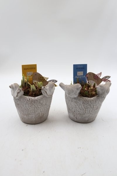 Bollen, beton pot slak/vogel; mix, D 12