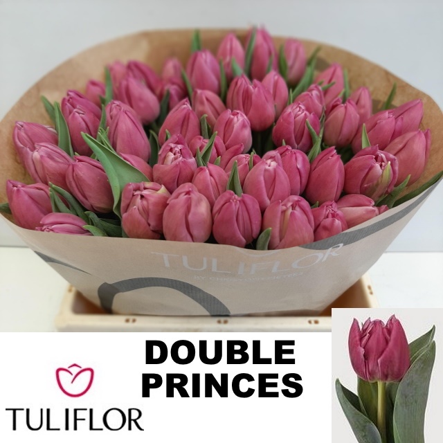 Тюльпан дв. Дабл Принцесс (ярко-роз.), шт.