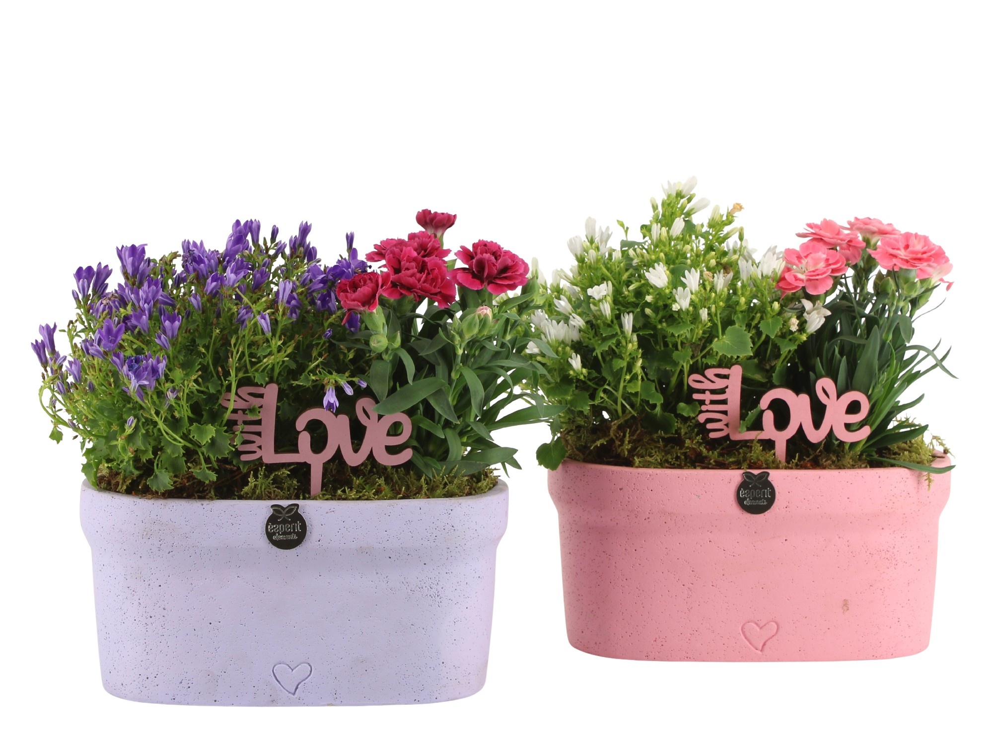 21986: Love outdoor arrangement, D 21