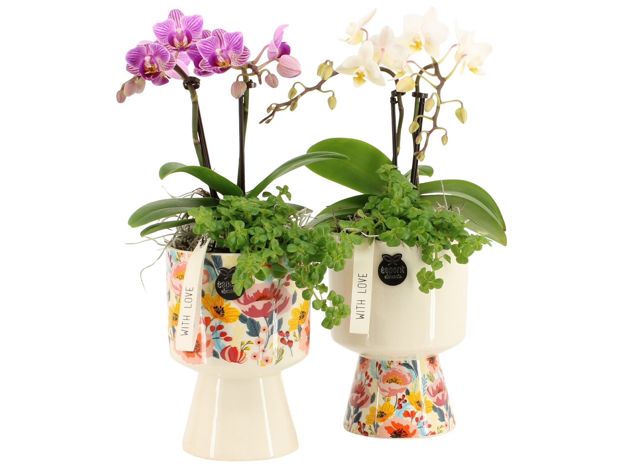 21818: Lovess arrangement, D 9