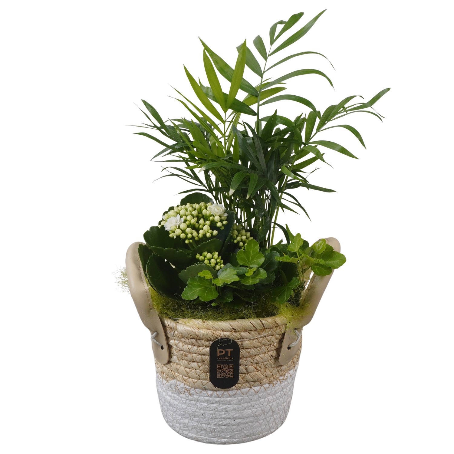 PTIB5228 Arrangement Indoor in rieten mand, D 14