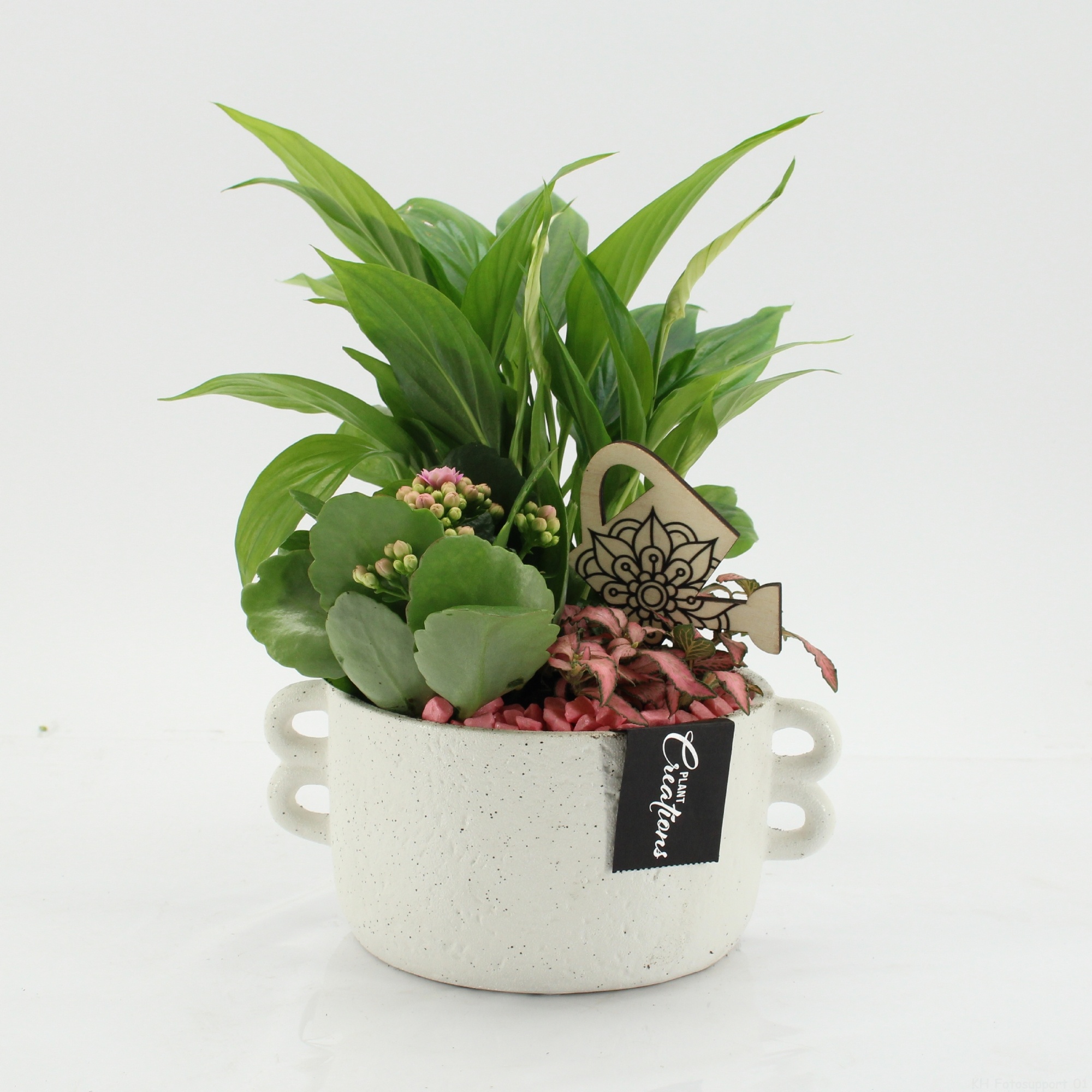 ESCR-2638RZ Essentials, D 20