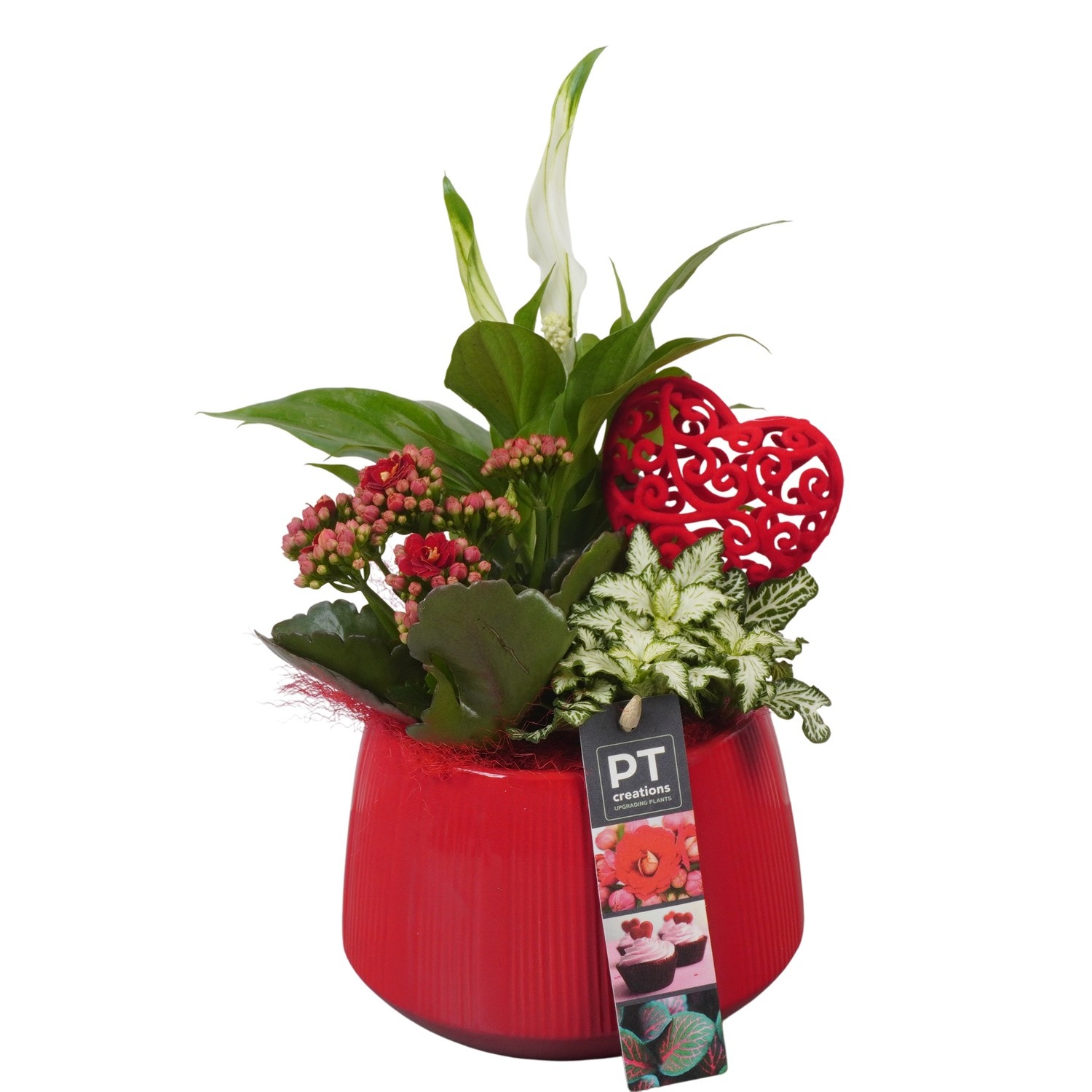 PTVMB2241 Arrangement Valentines-Mothersday in keramiek sierpot, D 14