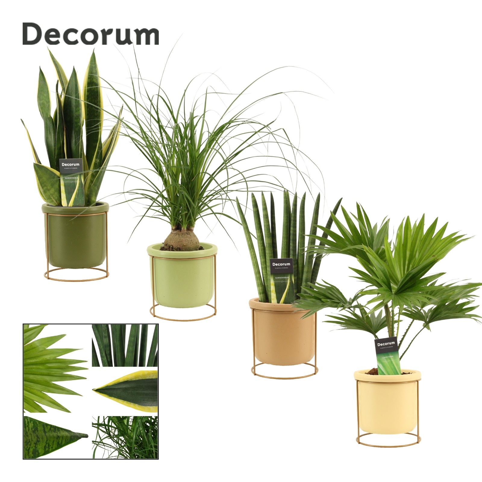 Groenmix 12 cm in Lynn (Silent moods-collection), D 12 cm