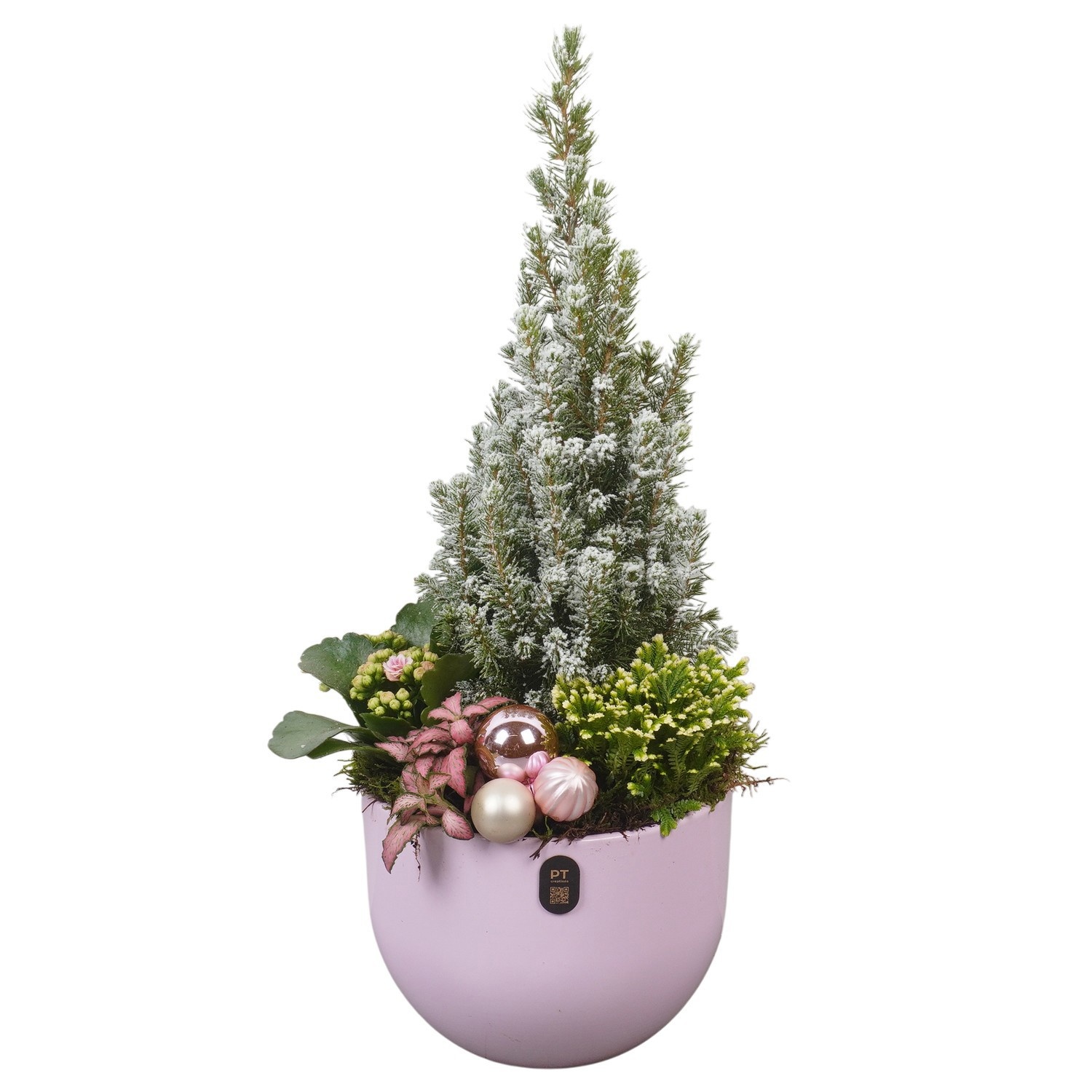 PTCHP8423 Arrangement Christmas Pink in keramiek pot, D 19