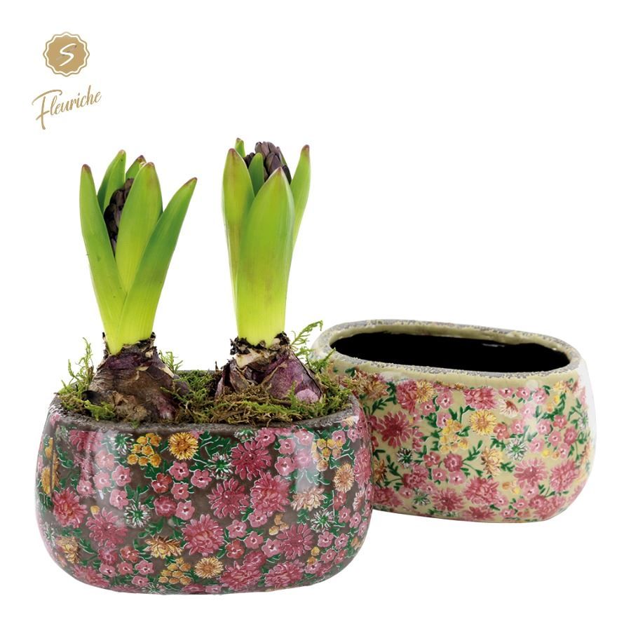 (2603) Hyacint Late Fashion Oval 2PP Mos, D 17