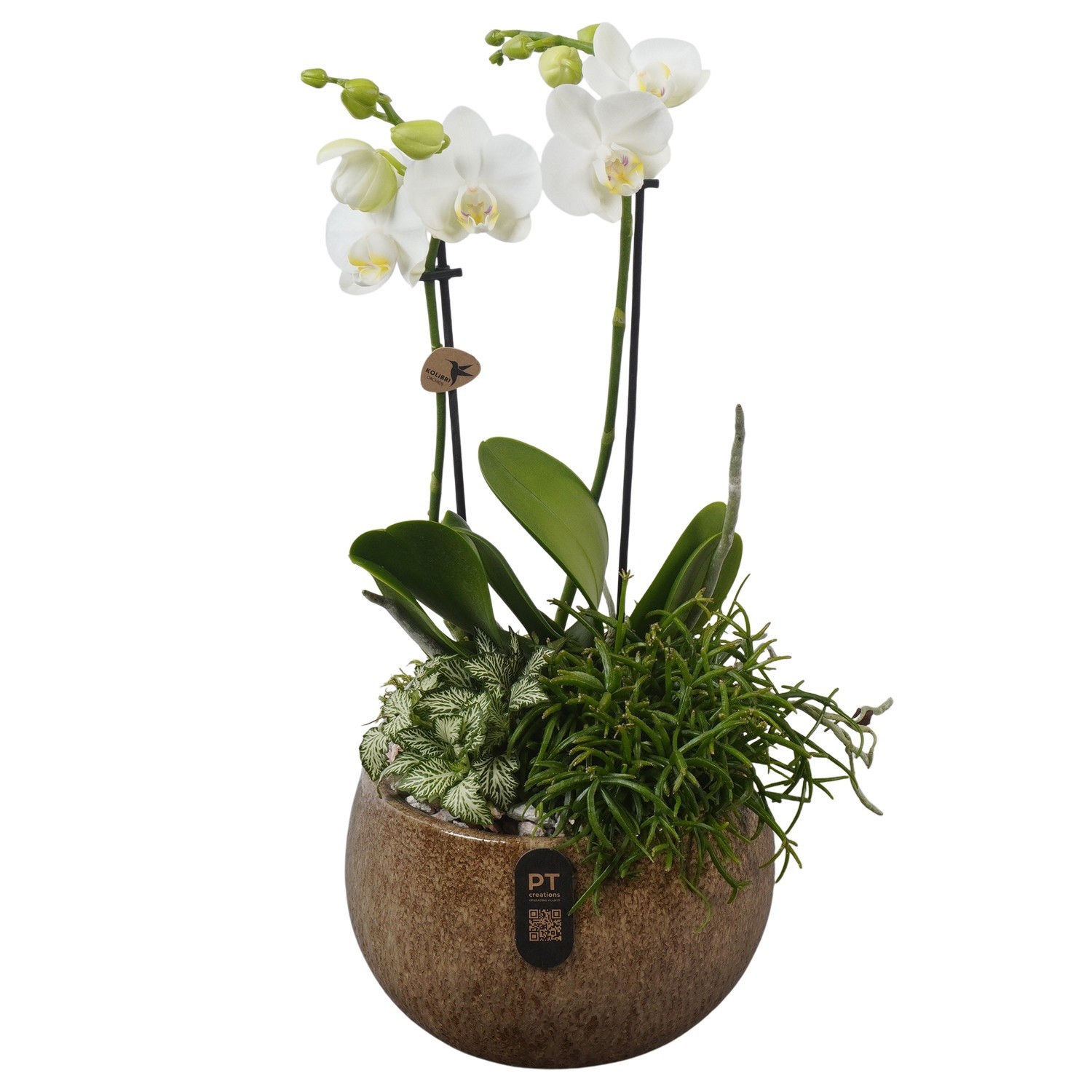 PTIB5343 Arrangement Indoor in keramiek schaal, D 19