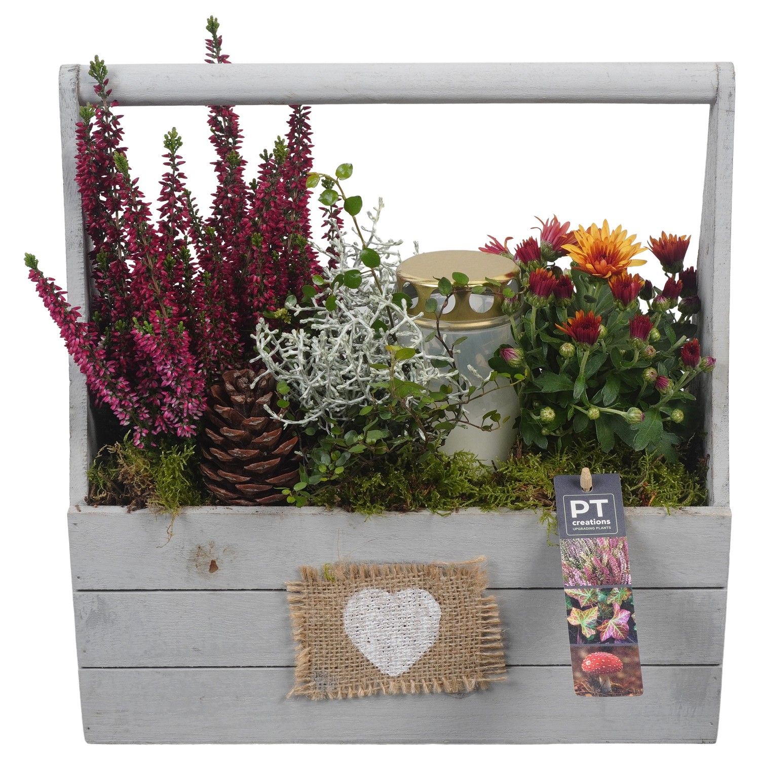 PTAH8678 Arrangement Allerheiligen in houten bak, D 30 cm PTAH8678 Arrangement Allerheiligen in houten bak, D 30 cm