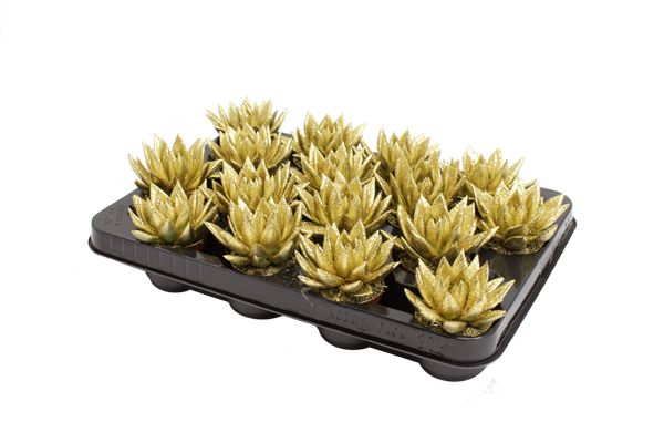 Miranda coloured gold + Natureglit®, D 6 cm