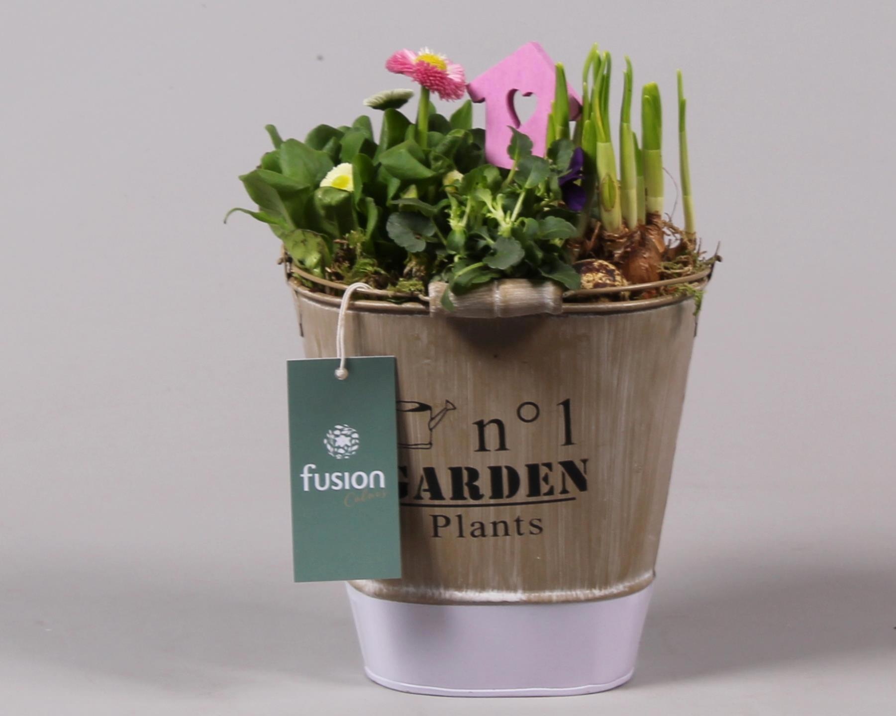 Zink emmer ovaal paars Pasen met Arrangement, D 17