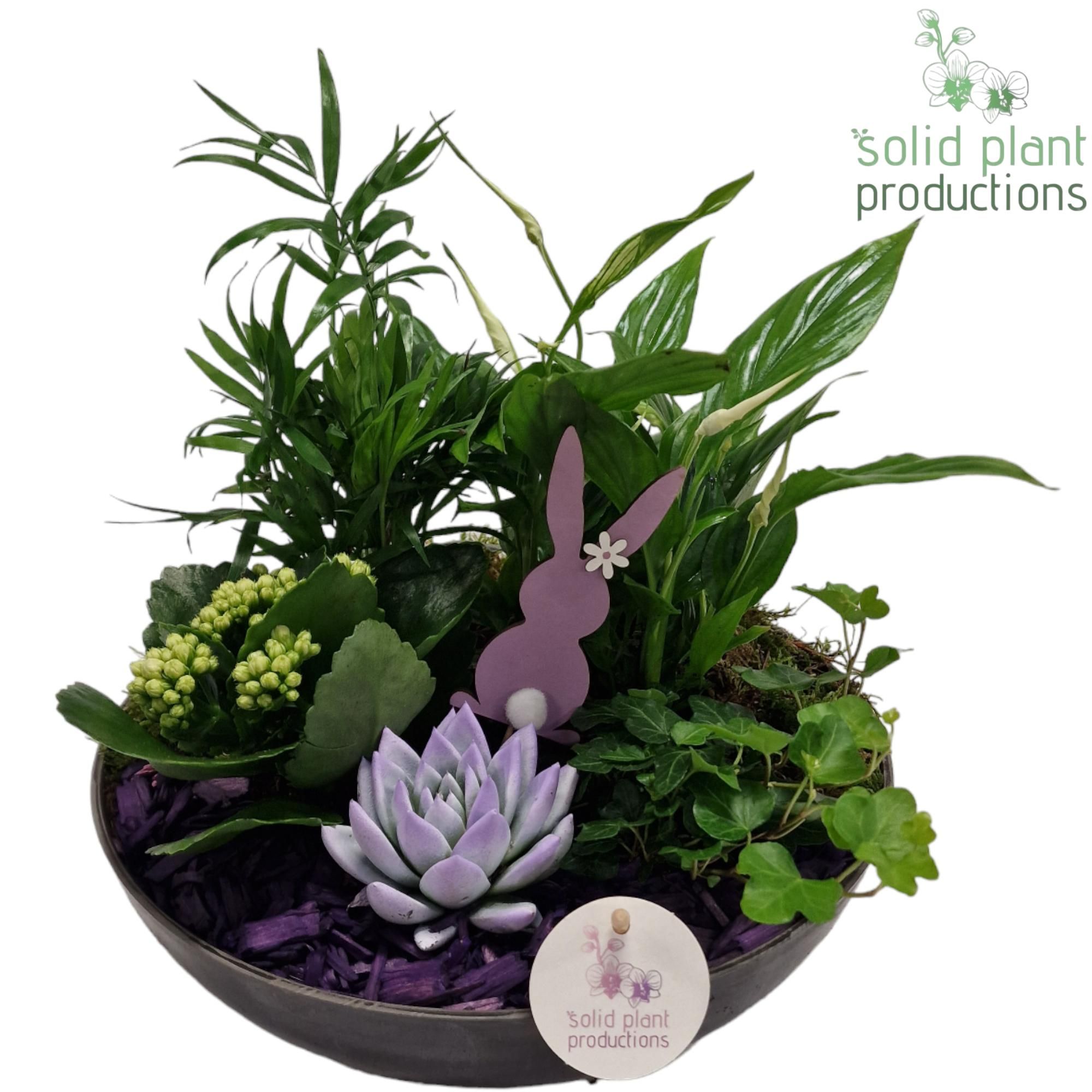 SCE011 Artstone Easter Lila, D 30