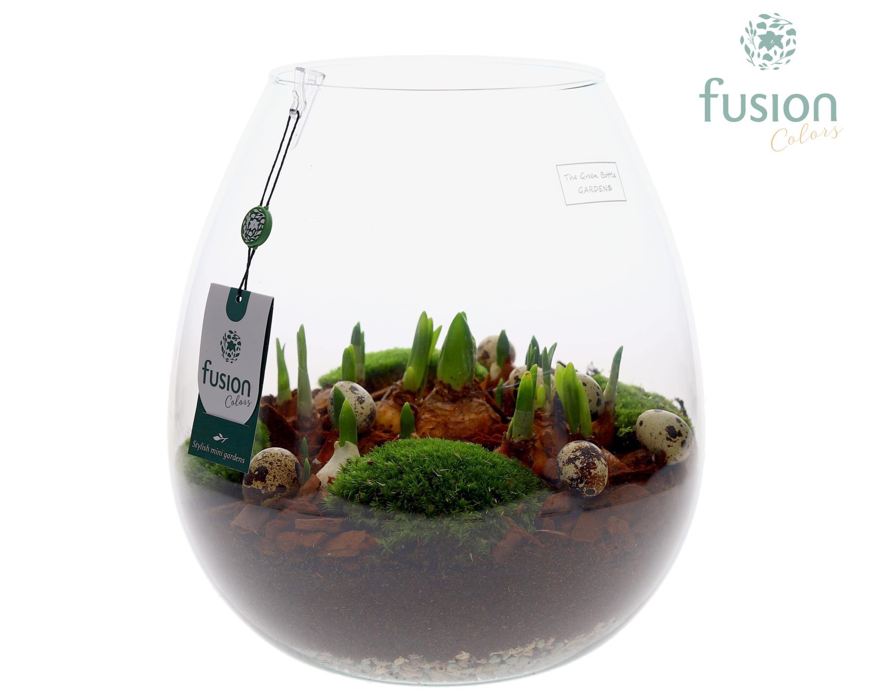 Green Bottle Abby XLarge Pasen met Bollen mix, D 29