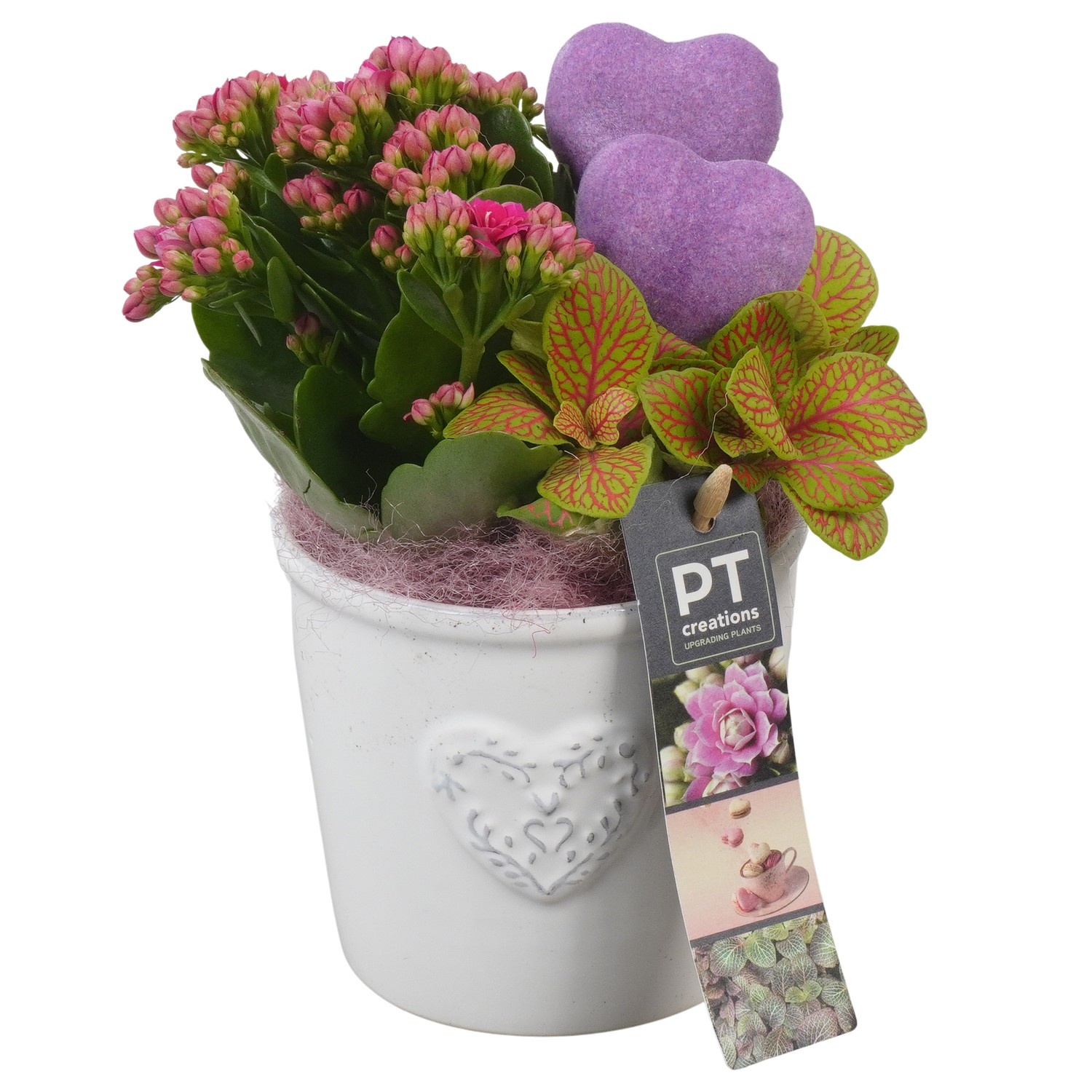 PTVMB2250 Arrangement Valentines-Mothersday in keramiek sierpot, D 10